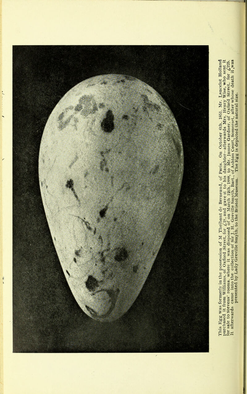 This Egg was formerly in the possession of M Theibant de Berneaud, of Paris. On October 6th. 1851. Mr. Lancelot Holland purchased it from Williams, of Oxford jStreet, for £l£, and gave it to his daughter—afterwards Mrs. Henry Wise, who sent it for sale to Stevens’ rooms, where it was disposed of on March 12th, 1888, to Mr. James Gardner, of Oxford Street, for £225. It afterwards carne into the collection of Sir J. H. Greville Smyth, Bart., of Ashton Court, Somerset, after whose death it ,was presented by Lady Greville Smyth, to the Bristol Museum. The Egg is depicted the natural siz$.