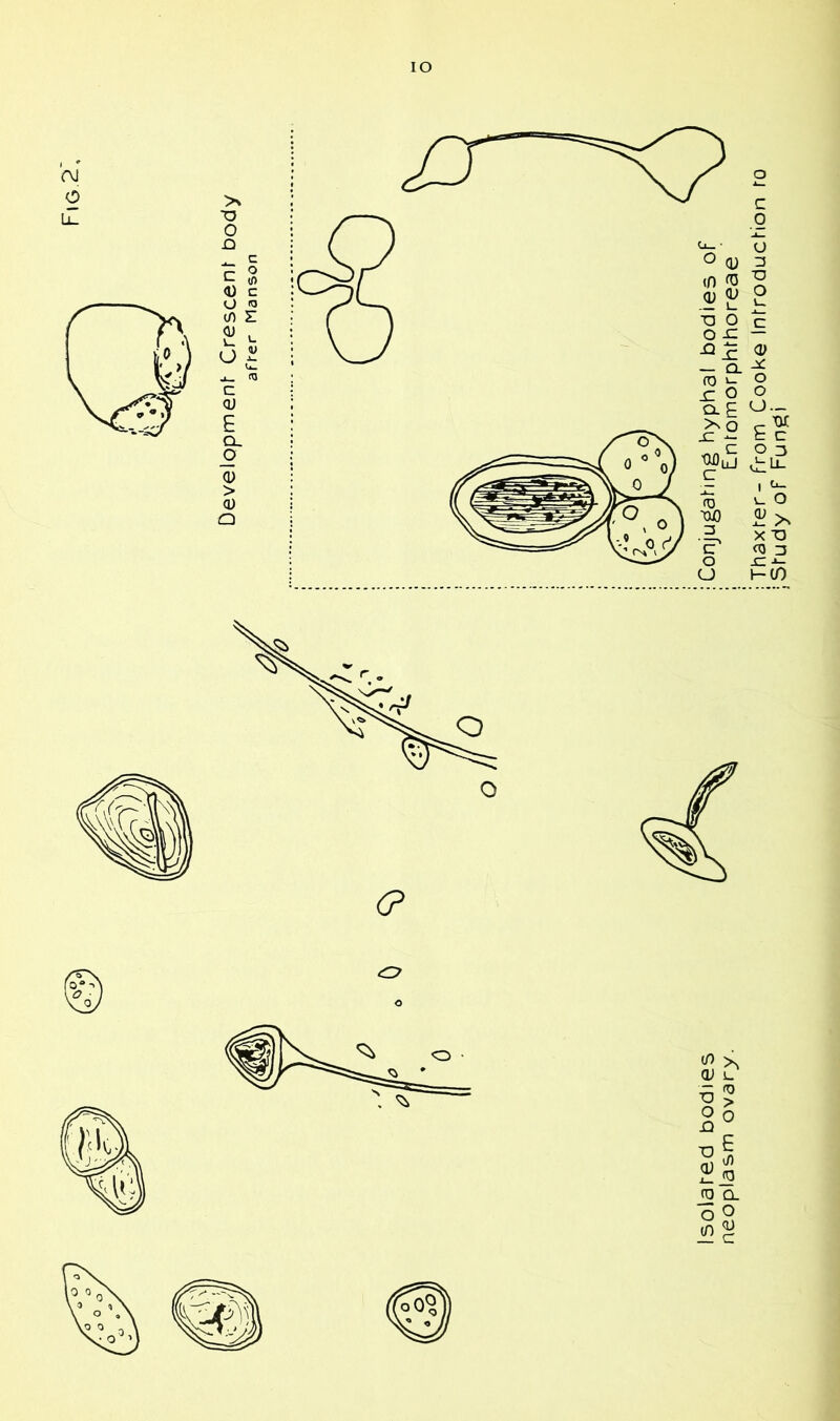 Fig.2', io C o o 15 ■o o C <D o o u._ E c Ii2 v_ O X TD U JC I-CO