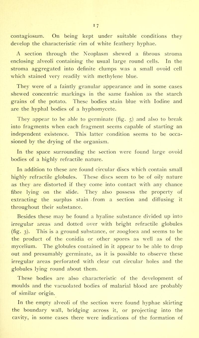 contagiosum. On being kept under suitable conditions they develop the characteristic rim of white feathery hyphae. A section through the Neoplasm shewed a fibrous stroma enclosing alveoli containing the usual large round cells. In the stroma aggregated into definite clumps wras a small ovoid cell which stained very readily with methylene blue. They were of a faintly granular appearance and in some cases shewed concentric markings in the same fashion as the starch grains of the potato. These bodies stain blue with Iodine and are the hyphal bodies of a hyphomycete. They appear to be able to germinate (fig. 5) and also to break into fragments when each fragment seems capable of starting an independent existence. This latter condition seems to be occa- sioned by the drying of the organism. In the space surrounding the section were found large ovoid bodies of a highly refractile nature. In addition to these are found circular discs which contain small highly refractile globules. These discs seem to be of oily nature as they are distorted if they come into contact with any chance fibre lying on the slide. They also possess the property of extracting the surplus stain from a section and diffusing it throughout their substance. Besides these may be found a hyaline substance divided up into irregular areas and dotted over with bright refractile globules (fig. 3). This is a ground substance, or zoogloea and seems to be the product of the conidia or other spores as well as of the mycelium. The globules contained in it appear to be able to drop out and presumably germinate, as it is possible to observe these irregular areas perforated with clear cut circular holes and the globules lying round about them. These bodies are also characteristic of the development of moulds and the vacuolated bodies of malarial blood are probably of similar origin. In the empty alveoli of the section were found hyphae skirting the boundary wall, bridging across it, or projecting into the cavity, in some cases there were indications of the formation of