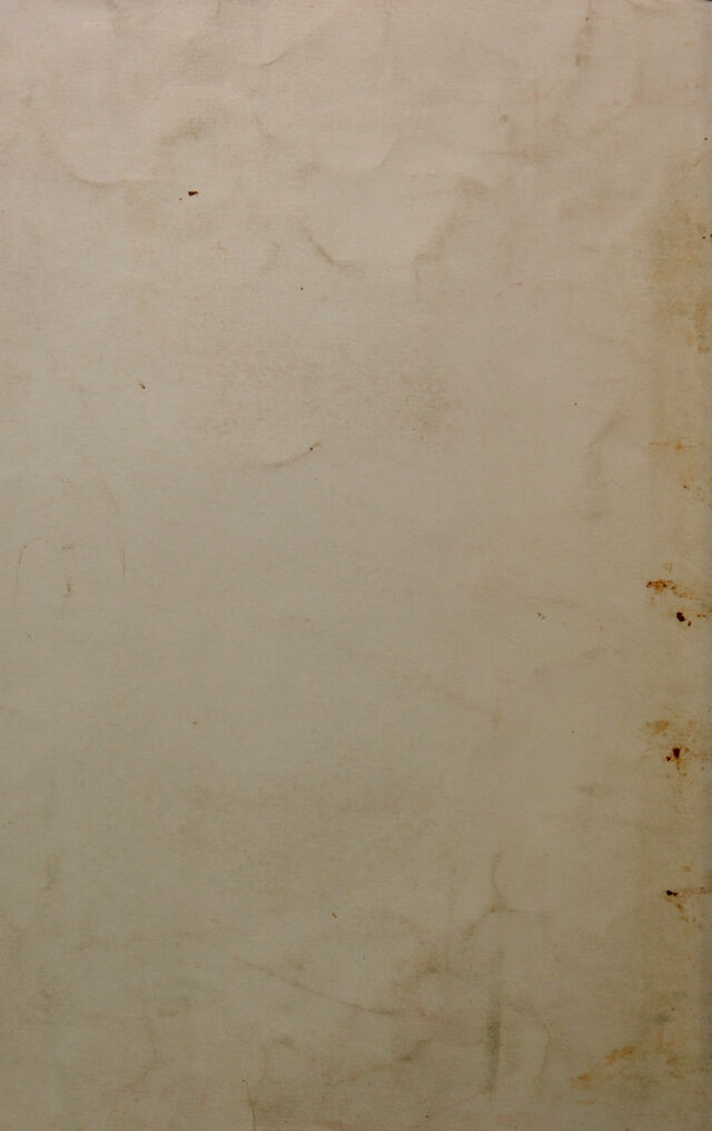 digitised image 2
