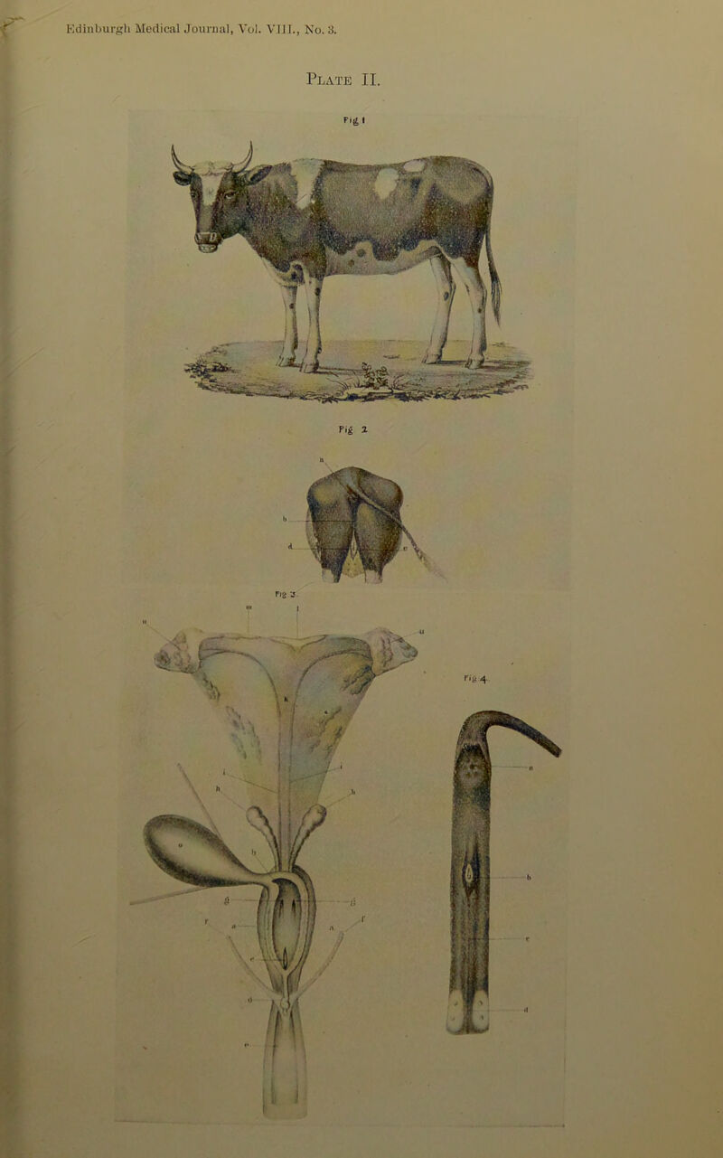 Plate II. Fl(5 I r.-y 4 Pig 2