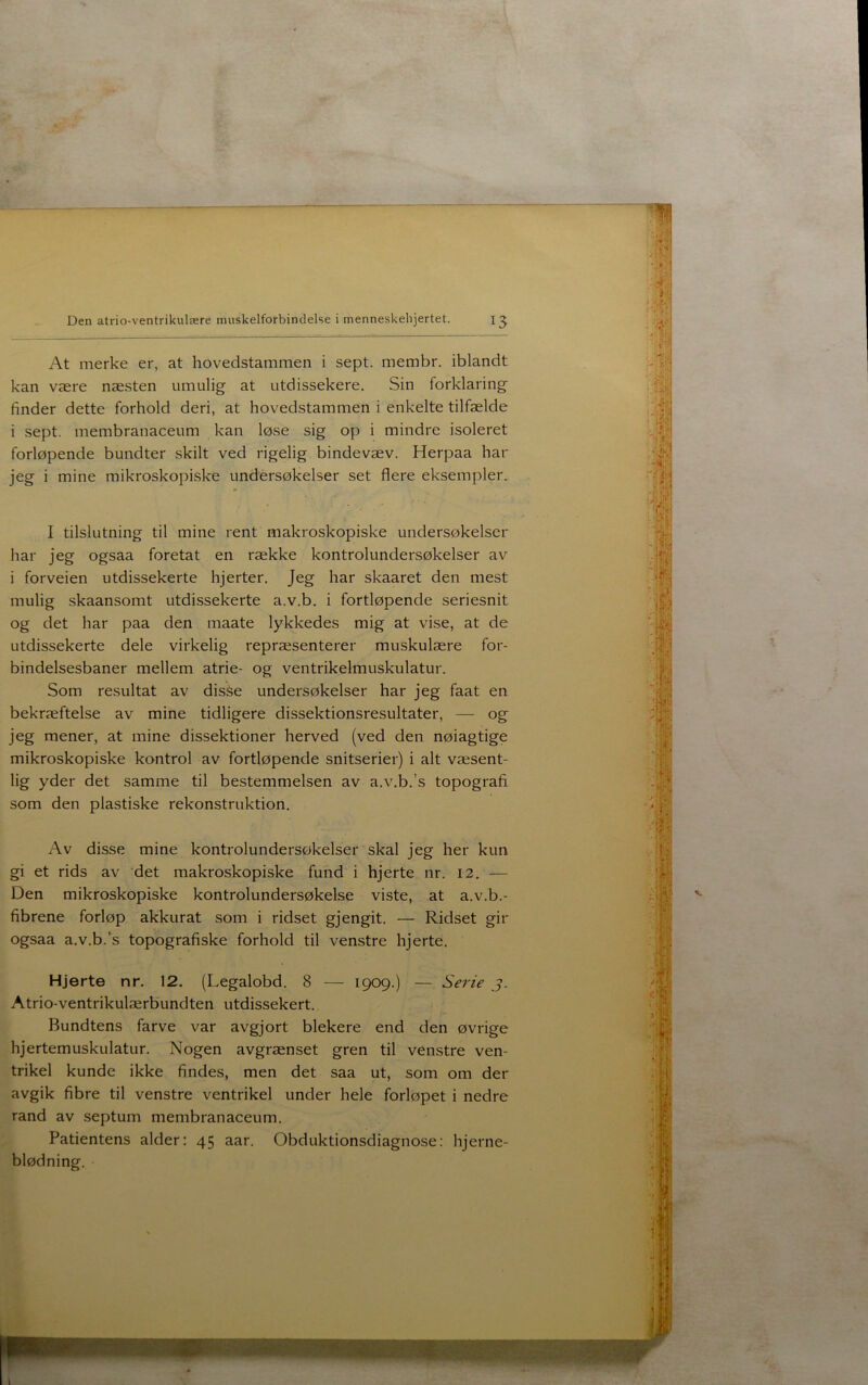 At merke er, at hovedstammen i sept. membr. iblandt kan være næsten umulig at utdissekere. Sin forklaring finder dette forhold deri, at hovedstammen i enkelte tilfælde i sept. membranaceum kan løse sig op i mindre isoleret forløpende bundter skilt ved rigelig bindevæv. Herpaa har jeg i mine mikroskopiske undersøkeiser set flere eksempler. I tilslutning til mine rent makroskopiske undersøkeiser har jeg ogsaa foretat en række kontrolundersøkelser av i forveien utdissekerte hjerter. Jeg har skaaret den mest mulig skaansomt utdissekerte a.v.b. i fortløpende seriesnit og det har paa den maate lykkedes mig at vise, at de utdissekerte dele virkelig repræsenterer muskulære for- bindelsesbaner mellem atrie- og ventrikelmuskulatur. Som resultat av disåe undersøkeiser har jeg faat en bekræftelse av mine tidligere dissektionsresultater, — og jeg mener, at mine dissektioner herved (ved den nøiagtige mikroskopiske kontrol av fortløpende snitserier) i alt væsent- lig yder det samme til bestemmelsen av a.v.b.’s topografi som den plastiske rekonstruktion. Av disse mine kontrolundersøkelser skal jeg her kun gi et rids av det makroskopiske fund i hjerte nr. 12. — Den mikroskopiske kontrolundersøkelse viste, at a.v.b.- fibrene forløp akkurat som i ridset gjengit. — Ridset gir ogsaa a.v.b.’s topografiske forhold til venstre hjerte. Hjerte nr. 12. (Legalobd. 8 — 1909.) — Serie j. Atrio-ventrikulærbundten utdissekert. Bundtens farve var avgjort blekere end den øvrige hjertemuskulatur. Nogen avgrænset gren til venstre ven- trikel kunde ikke findes, men det saa ut, som om der avgik fibre til venstre ventrikel under hele forløpet i nedre rand av septum membranaceum. Patientens alder: 45 aar. Obduktionsdiagnose: hjerne- blødning.