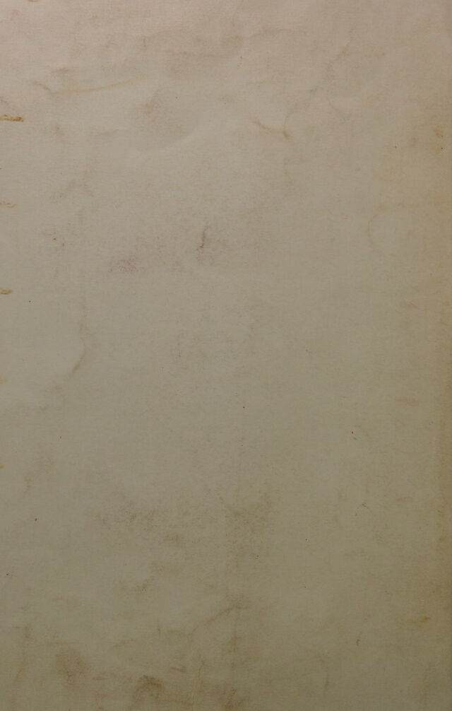 digitised image 2