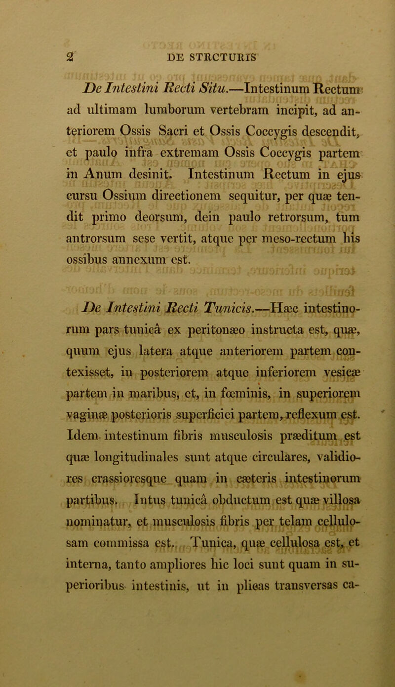 De Intestini Recti Situ.—Intestinum Rectum ad ultimam lumborum vertebram incipit, ad an- teriorem Ossis Sacri et Ossis Coccygis descendit, et paulo infra extremam Ossis Coccygis partem in Anum desinit. Intestinum Rectum in ejus cursu Ossium directionem sequitur, per quae ten- dit primo deorsum, dein paulo retrorsum, tum antrorsum sese vertit, atque per meso-rectum bis ossibus annexum est. De Intestini Recti Tunicis.—Haec intestino- rum pars tunica ex peritonaeo instructa est, quae, quum ejus latera atque anteriorem partem con- texisset, in posteriorem atque inferiorem vesicae partem in maribus, et, in fceminis, in superiorem vaginae posterioris superficiei partem, reflexum est. Idem intestinum fibris musculosis praeditum est quae longitudinales sunt atque circulares, validio- res crassioresque quam in eaeteris intestinorum partibus. Intus tunica obductum est quae villosa nominatur, et musculosis fibris per telam cellulo- sam commissa est. Tunica, quae cellulosa est, et interna, tanto ampliores hic loci sunt quam in su- perioribus intestinis, ut in plicas transversas ca-