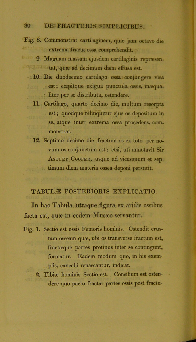 Fig. 8. Commonstrat cartilaginem, qua? jam octavo die extrema fracta ossa comprehendit. 9. Magnam massam ejusdem cartilaginis repraesen- tat, quae ad decimum diem effusa est. ,10. Die duodecimo cartilago ossa conjungere visa est; coepitque exigua punctula ossis, inaequa- liter per se distributa, ostendere. 11. Cartilago, quarto decimo die, multum resorpta est; quodque relinquitur ejus os depositum in se, atque inter extrema ossa procedens, com- monstrat. 12. Septimo decimo die fractum os ex toto per no- vum os conjunctum est; etsi, uti annotavit Sir Astley Cooper, usque ad vicesimum et sep- timum diem materia ossea deponi perstitit. TABULA POSTERIORIS EXPLICATIO, In hac Tabula utraque figura ex aridis ossibus facta est, quae in eodem Musaeo servantur, Fiff. 1. Sectio est ossis Femoris hominis. Ostendit crus- O tam osseam quae, ubi os transverse fractum est, fractaeque partes protinus inter se contingunt, formatur. Eadem modum quo, in his exem- plis, cancelli renascantur, indicat. 2. Tibiae hominis Sectio est Consilium est osten- dere quo pacto fractae partes assis post fractu-