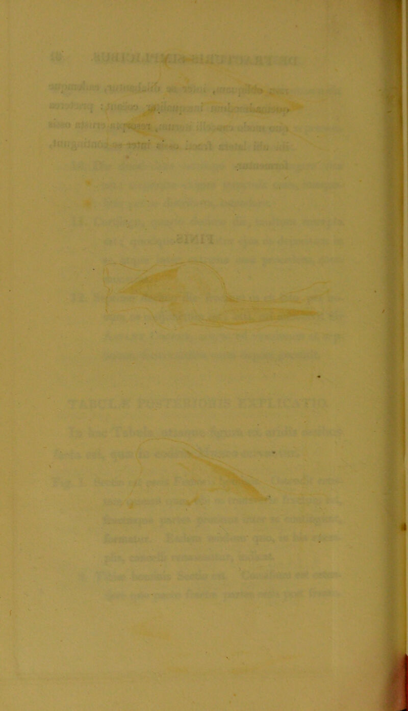■ .«iUti I f acf ■uhnn/..i\-i t^uU^avju-iift jAb Wr.i .'r- . acjvjijTUi ;^jufc»jv W4to i|‘Vy^«c;i u^jfxnt „ ,. ^l^^ig^rJo6^-«>< -rTtcrr e>-<^ ijr*r.;'i ii^n i\ff , V- - ■ '• ->V., • ^3 ‘ ■' ■ '- &• , •.».'.<■,• ■,. » .!. -. - t.:*-. -’V^ K NfcV.