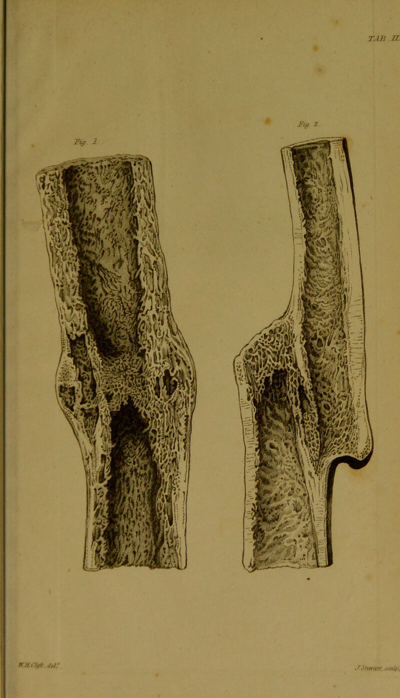 ^ tr.HChfi.da! I TAh IL Fig. i. . ^Sfnrtzrf .w^r. Ftff 2