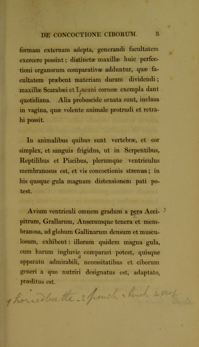 formam externam adepta, generandi facultatem exercere possint; distinctae maxillae huic perfec- tioni organorum comparativae adduntur, quae fa- cultatem praebent materiam duram dividendi; maxillae Scarabaei et Lucani corneae exempla dant quotidiana. Alia proboscide ornata sunt, inclusa in vagina, quae volente animale protrudi et retra- hi possit. In animalibus quibus sunt vertebrae, et cor simplex, et sanguis frigidus, ut in Serpentibus, Reptilibus et Piscibus, plerumque ventriculus membranosus est, et vis concoctionis strenua; in his quoque gula magnam distensionem pati po- test. i Avium ventriculi omnem gradum a pera Acci- pitrum, Grallarum, Anserumque tenera et mem- branosa, ad globum Gallinarum densum et muscu- losum, exhibent: illorum quidem magna gula, cum harum ingluvie comparari potest, quisque #4 apparatu admirabili, necessitatibus et ciborum generi a quo nutriri designatus est, adaptato, praeditus est. f %£-z