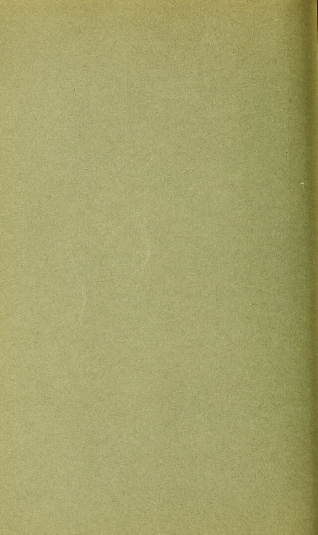digitised image 2