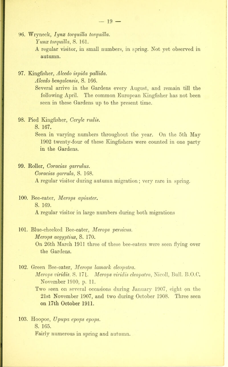 96. Wryneck, lynx torquilla torquilla. Yunx torquilla, S. 161. A regular visitor, in small numbers, in spring. Not yet observed in autumn. 97. Kingfisher, Alcedo ispida pallida. Alcedo bengalensis, S. 166. Several arrive in the Gardens every August, and remain till the following April. The common European Kingfisher has not been seen in these Gardens up to the present time. 98. Pied Kingfisher, Ceryle rudis. S. 167. Seen in varying numbers throughout the year. On the 5th May 1902 twenty-four of these Kingfishers were counted in one party in the Gardens. 99. Roller, Coracias garrulus. Coracias garrula, S. 168. A regular visitor during autumn migration; very rare in spring. 100. Bee-eater, Merops apiaster. S. 169. A regular visitor in large numbers during both migrations 101. Blue-cheeked Bee-eater, Merops persicus. Merops aegyptius, S. 170. On 26th March 1911 three of these bee-eaters were seen flying over the Gardens. 102. Green Bee-eater, Merops lamarJc cleopatra. Merops viridis, S. 171. Merops viridis cleopatra, Nicoll, Bull. B.O.C. November 1910, p. 11. Two seen on several occasions during January 1907, eight on the 21st November 1907, and two during October 1908. Three seen on 17th October 1911. 103. Hoopoe, TJpupa epops epops. S. 165. Fairly numerous in spring and autumn.