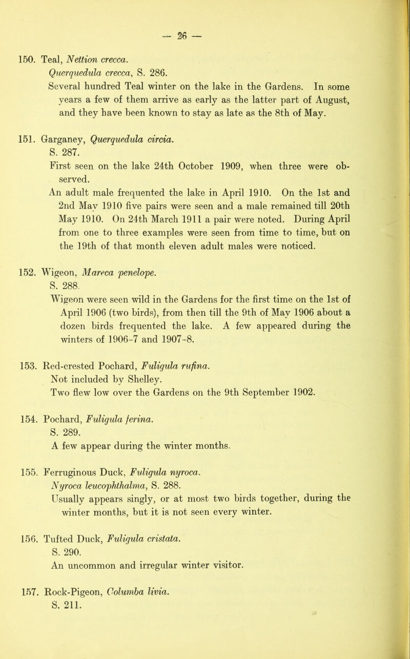 150. Teal, Nettion crecca. Querquedula crecca, S. 286. Several hundred Teal winter on the lake in the Gardens. In some years a few of them arrive as early as the latter part of August, and they have been known to stay as late as the 8th of May. 151. Garganey, Querquedula circia. S. 287. First seen on the lake 24th October 1909, when three were ob- served. An adult male frequented the lake in April 1910. On the 1st and 2nd May 1910 five pairs were seen and a male remained till 20th May 1910. On 24th March 1911 a pair were noted. During April from one to three examples were seen from time to time, but on the 19th of that month eleven adult males were noticed. 152. Wigeon, Mareca penelope. S. 288. Wigeon were seen wild in the Gardens for the first time on the 1st of April 1906 (two birds), from then till the 9th of May 1906 about a dozen birds frequented the lake. A few appeared during the winters of 1906-7 and 1907-8. 153. Red-crested Pochard, Fuligula rufina. Not included by Shelley. Two flew low over the Gardens on the 9th September 1902. 154. Pochard, Fuligula ferina. S. 289. A few appear during the winter months. 155. Ferruginous Duck, Fuligula nyroca. Nyroca leucophthalma, S. 288. Usually appears singly, or at most two birds together, during the winter months, but it is not seen every winter. 156. Tufted Duck, Fuligula cristata. S. 290. An uncommon and irregular winter visitor. 157. Rock-Pigeon, Columba livia. S. 211.