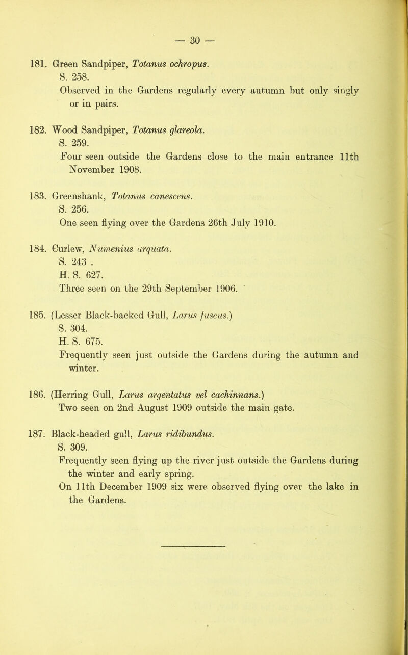 181. Green Sandpiper, Totanus ochropus. S. 258. Observed in the Gardens regularly every autumn but only singly or in pairs. 182. Wood Sandpiper, Totanus glareola. S. 259. Four seen outside the Gardens close to the main entrance 11th November 1908. 183. Greenshank, Totanus canescens. S. 256. One seen flying over the Gardens 26th July 1910. 184. Curlew, Numenius ar quota. S. 243 . H. S. 627. Three seen on the 29th September 1906. 185. (Lesser Black-backed Gull, Larus fuscus.) S. 304. H. S. 675. Frequently seen just outside the Gardens during the autumn and winter. 186. (Herring Gull, Larus argentatus vel cachinnans.) Two seen on 2nd August 1909 outside the main gate. 187. Black-headed gull, Larus ridibundus. S. 309. Frequently seen flying up the river just outside the Gardens during the winter and early spring. On 11th December 1909 six were observed flying over the lake in the Gardens.