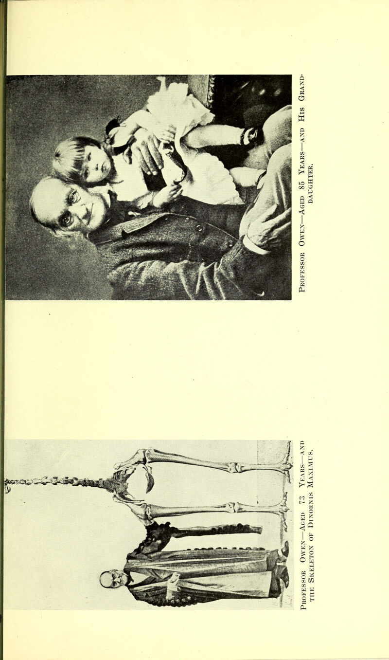 Professor Owen—Aged 73 Years—and Professor Owen—Aged 85 Years—and His Grand- the Skeleton of Dinornis Maximus. daughter.