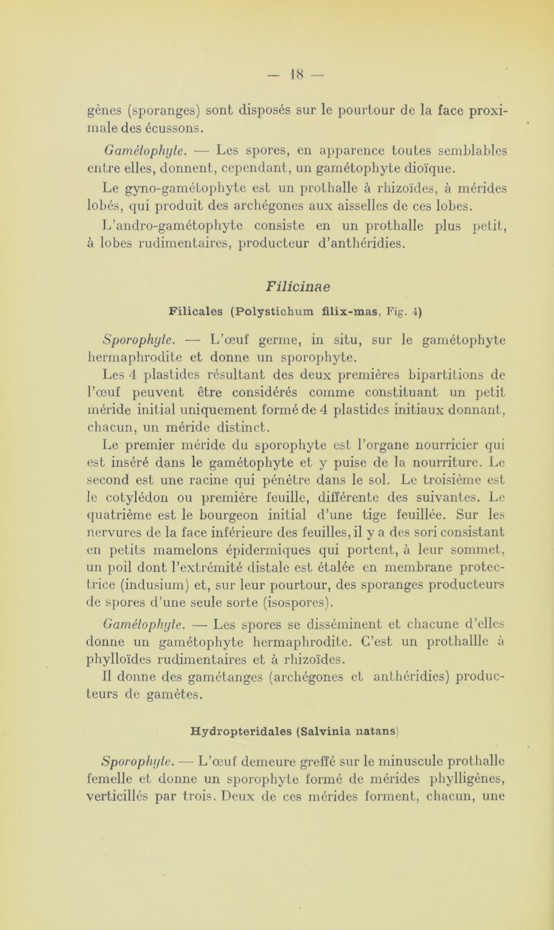 gènes (sporanges) sont disposés sur le pourtour de la face proxi- male des écussons. Gamétophyle. — Les spores, en apparence toutes semblables entre elles, donnent, cependant, un gamétophyte dioïque. Le gyno-gamétophyte est un prothalle à rhizoïdes, à mérides lobés, qui produit des archégoncs aux aisselles de ces lobes. L’andro-gamétophyte consiste en un prothalle plus petit, à lobes rudimentaires, producteur d’anthéridies. Filicinae Filicales (Polystichum filix-mas, Fig. 1) Sporophyle. — L’œuf germe, in situ, sur le gamétophyte hermaphrodite et donne un sporophyte. Les 4 plastides résultant des deux premières bipartitions de l’œuf peuvent être considérés comme constituant un petit méride initial uniquement formé de 4 plastides initiaux donnant, chacun, un méride distinct. Le premier méride du sporophyte est l’organe nourricier qui est inséré dans le gamétophyte et y puise de la nourriture. Le second est une racine qui pénètre dans le sol. Le troisième est le cotylédon ou première feuille, différente des suivantes. Le quatrième est le bourgeon initial d’une tige feuillée. Sur les nervures de la face inférieure des feuilles, il y a des sori consistant en petits mamelons épidermiques qui portent, à leur sommet, un poil dont l’extrémité distale est étalée en membrane protec- trice (indusium) et, sur leur pourtour, des sporanges producteurs de spores d’une seule sorte (isospores). Gamélophyte. — Les spores se disséminent et chacune d’elles donne un gamétophyte hermaphrodite. C’est un prothallle à phylloïdes rudimentaires et à rhizoïdes. Il donne des gamétanges (archégones et anthéridies) produc- teurs de gamètes. Hydropteridales (Salvinia natans) Sporophyle. — L’œuf demeure greffé sur le minuscule prothalle femelle et donne un sporophyte formé de mérides phylligènes, verticillés par trois. Deux de ces mérides forment, chacun, une