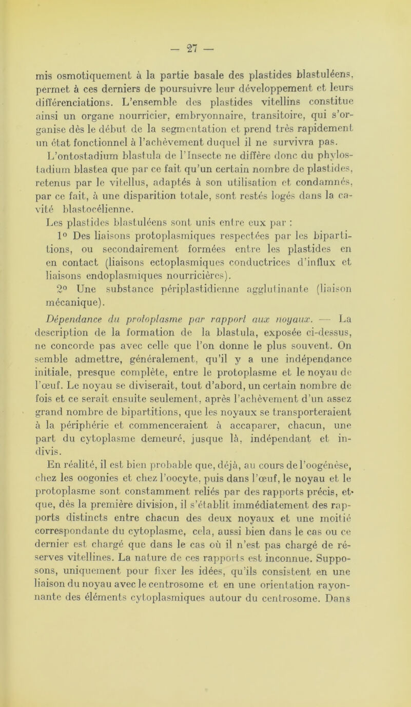 mis osmotiquement à la partie basale des plastides blastuléens, permet à ces derniers de poursuivre leur développement et leurs différenciations. L’ensemble des plastides vitellins constitue ainsi un organe nourricier, embryonnaire, transitoire, qui s’or- ganise dès le début de la segmentation et prend très rapidement un état fonctionnel à l’achèvement duquel il ne survivra pas. L’ontostadium blastula de l’Insecte ne diffère donc du phvlos- tadium blastea que par ce fait qu’un certain nombre de plastides, retenus par le vitellus, adaptés à son utilisation et condamnés, par ce fait, à une disparition totale, sont restés logés dans la ca- vité blastocélienne. Les plaslides blastuléens sont unis entre eux par : 1° Des liaisons protoplasmiques respectées par les biparti- tions, ou secondairement formées entre les plastides en en contact (liaisons ectoplasmiques conductrices d’influx et liaisons endoplasmiques nourricières). 2° Une substance périplastidienne agglutinante (liaison mécanique). Dépendance du protoplasme par rapport aux noyaux. — La description de la formation de la blastula, exposée ci-dessus, ne concorde pas avec celle que l’on donne le plus souvent. On semble admettre, généralement, qu’il y a une indépendance initiale, presque complète, entre le protoplasme et le noyau de l’œuf. Le noyau se diviserait, tout d’abord, un certain nombre de fois et ce serait ensuite seulement, après l’achèvement d’un assez grand nombre de bipartitions, que les noyaux se transporteraient à la périphérie et commenceraient à accaparer, chacun, une part du cytoplasme demeuré, jusque là, indépendant et in- divis. En réalité, il est bien probable que, déjà, au cours del’oogénèse, chez les oogonies et chez l’oocyte, puis dans l’œuf, le noyau et le protoplasme sont constamment reliés par des rapports précis, et* que, dès la première division, il s’établit immédiatement des rap- ports distincts entre chacun des deux noyaux et une moitié correspondante du cytoplasme, cela, aussi bien dans le cas ou ce dernier est chargé que dans le cas où il n’est pas chargé de ré- serves vitellines. La nature de ces rapports est inconnue. Suppo- sons, uniquement pour fixer les idées, qu’ils consistent en une liaison du noyau avec le centrosome et en une orientation rayon- nante des éléments cytoplasmiques autour du centrosome. Dans