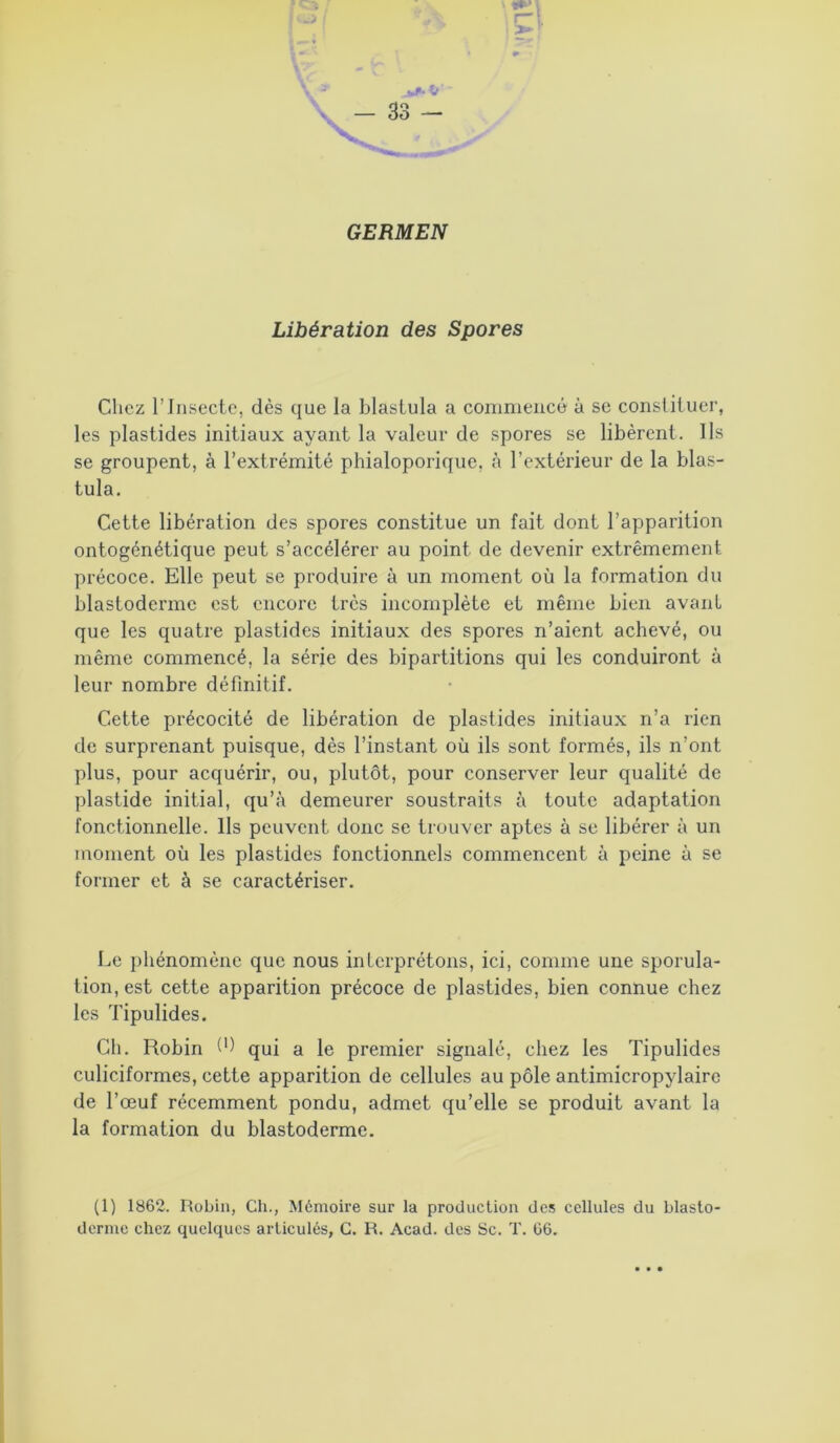 GERMEN Libération des Spores Chez l’Insecte, dès que la blastula a commencé à se constituer, les plastides initiaux ayant la valeur de spores se libèrent. Ils se groupent, à l’extrémité phialoporique, à l’extérieur de la blas- tula. Cette libération des spores constitue un fait dont l’apparition ontogénétique peut s’accélérer au point de devenir extrêmement précoce. Elle peut se produire à un moment où la formation du blastoderme est encore très incomplète et même bien avant que les quatre plastides initiaux des spores n’aient achevé, ou même commencé, la série des bipartitions qui les conduiront à leur nombre définitif. Cette précocité de libération de plastides initiaux n’a rien de surprenant puisque, dès l’instant où ils sont formés, ils n’ont plus, pour acquérir, ou, plutôt, pour conserver leur qualité de plastide initial, qu’à demeurer soustraits à toute adaptation fonctionnelle, lis peuvent donc se trouver aptes à se libérer à un moment où les plastides fonctionnels commencent à peine à se former et à se caractériser. Le phénomène que nous interprétons, ici, comme une sporula- tion, est cette apparition précoce de plastides, bien connue chez les Tipulides. Ch. Robin d) qui a }e premier signalé, chez les Tipulides culiciformes, cette apparition de cellules au pôle antimicropylaire de l’œuf récemment pondu, admet qu’elle se produit avant la la formation du blastoderme. (1) 1862. Robin, Ch., Mémoire sur la production des cellules du blasto- derme chez quelques articulés, C. R. Acad, des Sc. T. 66.