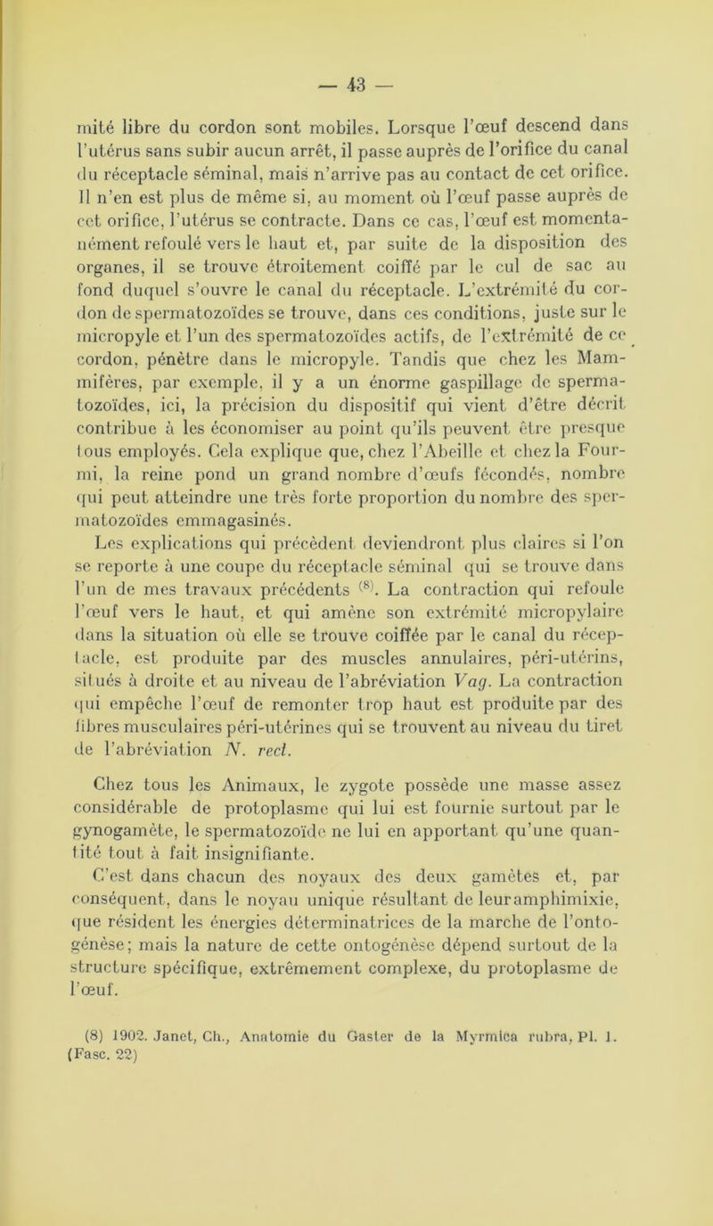 mité libre du cordon sont mobiles. Lorsque l’œuf descend dans l’utérus sans subir aucun arrêt, il passe auprès de l’orifice du canal du réceptacle séminal, mais n’arrive pas au contact de cet orifice. 11 n’en est plus de même si, au moment où l’œuf passe auprès de cet orifice, l’utérus se contracte. Dans ce cas, l’œuf est momenta- nément refoulé vers le haut et, par suite de la disposition des organes, il se trouve étroitement coiffé par le cul de sac au fond duquel s’ouvre le canal du réceptacle. L’extrémité du cor- don de spermatozoïdes se trouve, dans ces conditions, juste sur le micropyle et l’un des spermatozoïdes actifs, de l’extrémité de ce cordon, pénètre dans le micropyle. Tandis que chez les Mam- mifères, par exemple, il y a un énorme gaspillage de sperma- tozoïdes, ici, la précision du dispositif qui vient d’être décrit contribue à les économiser au point qu’ils peuvent être presque lous employés. Cela explique que, chez l’Abeille et chez la Four- mi, la reine pond un grand nombre d’œufs fécondés, nombre qui peut atteindre une très forte proportion du nombre des sper- matozoïdes emmagasinés. Les explications qui précèdent deviendront plus claires si l’on se reporte à une coupe du réceptacle séminal qui se trouve dans l’un de mes travaux précédents (8h La contraction qui refoule l’œuf vers le haut, et qui amène son extrémité micropylaire dans la situation où elle se trouve coiffée par le canal du récep- tacle, est produite par des muscles annulaires, péri-utérins, situés à droite et au niveau de l’abréviation Vag. La contraction qui empêche l’œuf de remonter trop haut est produite par des libres musculaires péri-utérines qui se trouvent au niveau du tiret de l’abréviation N. réel. Chez tous les Animaux, le zygote possède une masse assez considérable de protoplasme qui lui est fournie surtout par le gynogamète, le spermatozoïde ne lui en apportant qu’une quan- tité tout à fait insignifiante. C’est, dans chacun des noyaux des deux gamètes et, par conséquent, dans le noyau unique résultant de leuramphimixie, que résident les énergies déterminatrices de la marche de l’onto- génèse; mais la nature de cette ontogénèse dépend surtout de la structure spécifique, extrêmement complexe, du protoplasme de l’œuf. (8) 1902. Janet, Ch., Anatomie du Gaster de la Myrmtca rubra, PI. 1. (Fasc. 22)