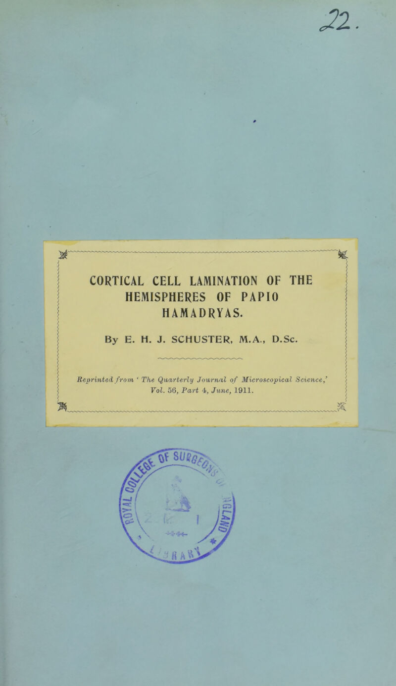 XL CORTICAL CELL LAMINATION OF THE HEMISPHERES OF PAPIO HAMADRYAS. By E. H. J. SCHUSTER, M.A., D.Sc. Reprinted from ‘ The Quarterly Journal of Microscopical Science,’ Vol. 56, Part 4, June, 1911.