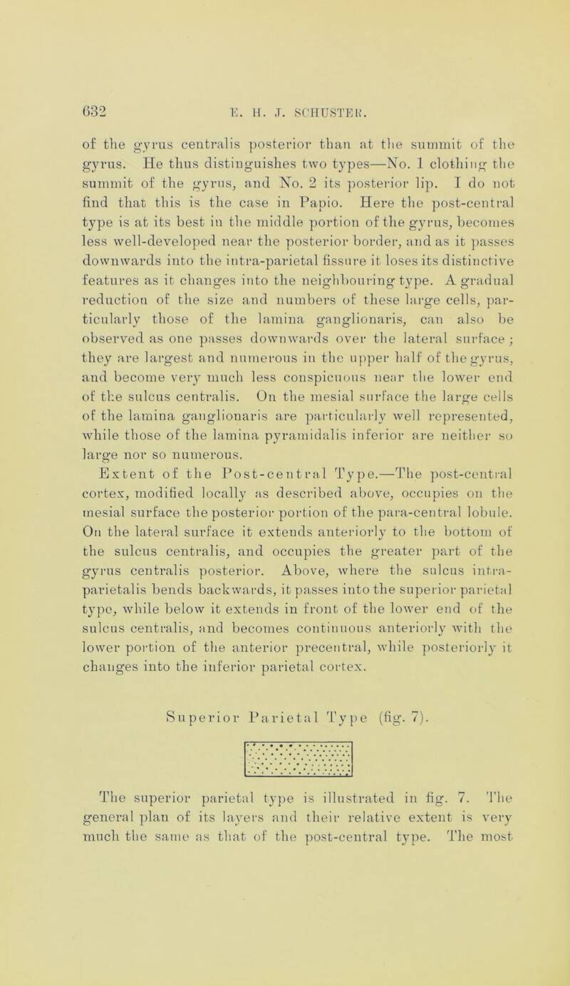 of the gyrus centralis posterior than at the summit of the gyrus. He thus distinguishes two types—No. 1 clothing the summit of the gyrus, and No. 2 its posterior lip. I do not find that this is the case in Papio. Here the post-central type is at its best in the middle portion of the gyrus, becomes less well-developed near the posterior border, and as it passes downwards into the intra-parietal fissure it loses its distinctive features as it changes into the neighbouring type. A gradual reduction of the size and numbers of these large cells, par- ticularly those of the lamina ganglionaris, can also be observed as one passes downwards over the lateral surface ; they are largest and numerous in the upper half of the gyrus, and become very much less conspicuous near the lower end of the sulcus centralis. On the mesial surface the large cells of the lamina gangliouaris are particularly well represented, while those of the lamina pyramidalis inferior are neither so large nor so numerous. Extent of the Post-central Type.—The post-central cortex, modified locally as described above, occupies on the mesial surface the posterior portion of the para-central lobule. On the lateral surface it extends anteriorly to the bottom of the sulcus centralis, and occupies the greater part of the gyrus centralis posterior. Above, where the sulcus intra- parietalis bends backwards, it passes into the superior parietal type, while below it extends in front of the lower end of the sulcus centralis, and becomes continuous anteriorly with the lower portion of the anterior precentral, while posteriorly it changes into the inferior parietal cortex. Superior Parietal Type (fig. 7). The superior parietal type is illustrated in fig. 7. The genei-al plan of its layers and their relative extent is very much the same as that of the post-central type. The most