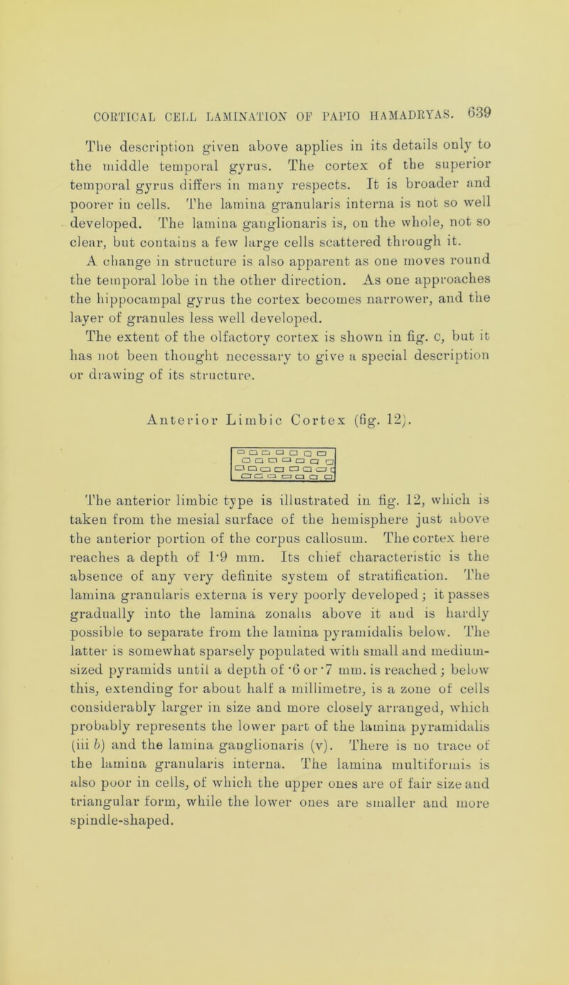 The description given above applies in its details only to the middle temporal gyrus. The cortex of the superior temporal gyrus differs in many respects. It is broader and poorer in cells. The lamina granularis interna is not so well developed. The lamina ganglionaris is, on the whole, not so clear, but contains a few large cells scattered through it. A change in structure is also apparent as one moves round the temporal lobe in the other direction. As one approaches the hippocampal gyrus the cortex becomes narrower, and the layer of granules less well developed. The extent of the olfactory cortex is shown in fig. C, but it lias not been thought necessary to give a special description or drawing of its structure. Anterior Limbic Cortex (fig. 12). o q ci a □ q □ a a a a a a rj DQaa acjac Q a a err C3 a <c The anterior limbic type is illustrated in fig. 12, which is taken from the mesial surface of the hemisphere just above the anterior portion of the corpus callosum. The cortex here reaches a depth of 1’9 mm. Its chief characteristic is the absence of any very definite system of stratification. The lamina granularis externa is very poorly developed; it passes gradually into the lamina zonahs above it and is hardly possible to separate from the lamina pyramidalis below. The latter is somewhat sparselyr populated with small and medium- sized pyramids until a depth of -6 or *7 mm. is reached ; below this, extending for about half a millimetre, is a zone of cells considerably larger in size and more closely arranged, which probably represents the lower part of the lamina pyramidalis (iii b) and the lamina ganglionaris (v). There is no trace of the lamina granularis interna. The lamina multiformis is also poor in cells, of which the upper ones are of fair size and triangular form, while the lower ones are smaller and more spindle-shaped.
