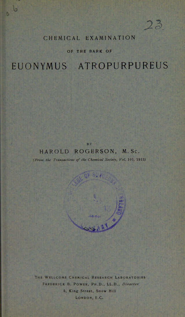 digitised image 3