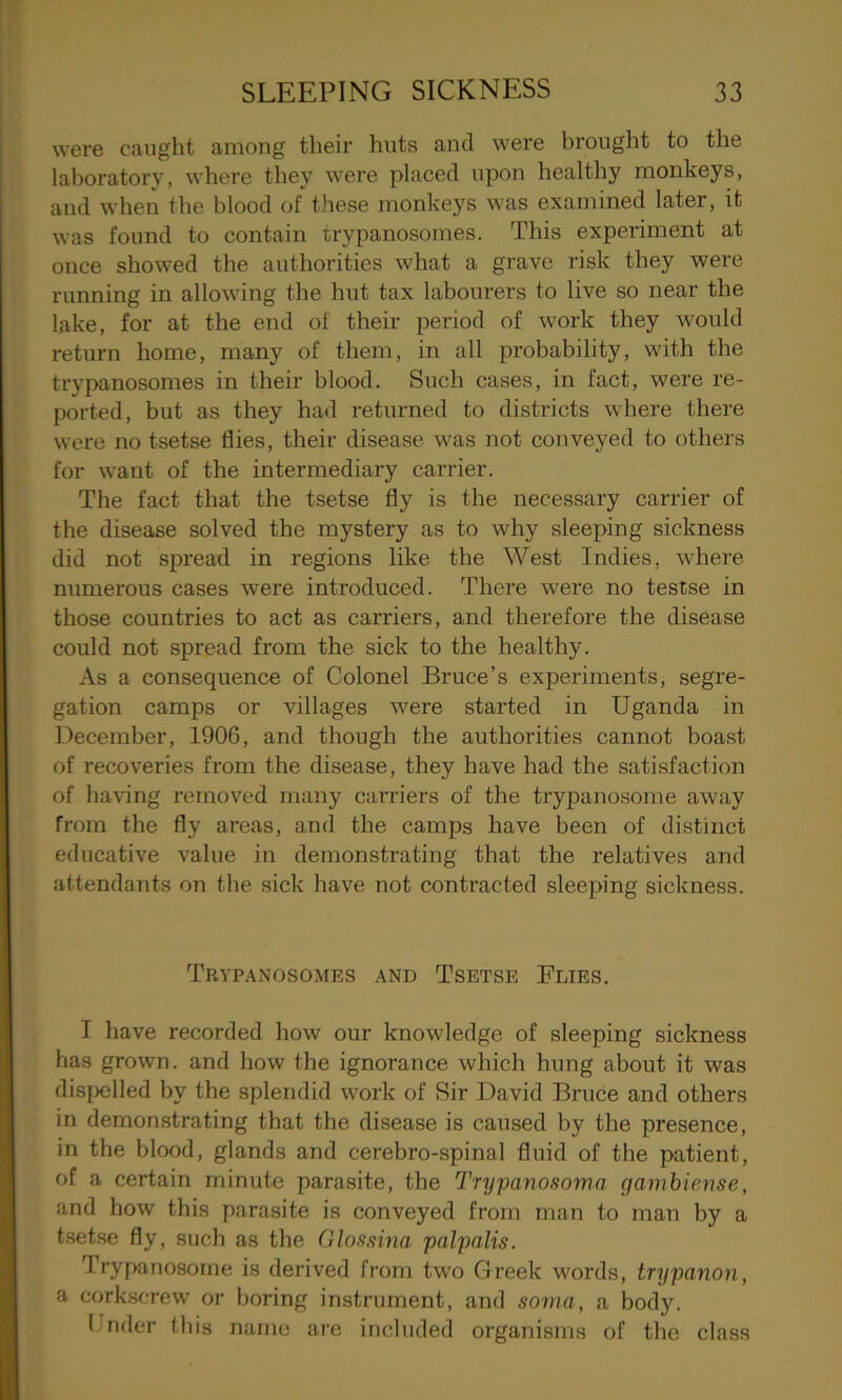 were caught among their huts and were brought to the laboratory, where they were placed upon healthy monkeys, and when the blood of these monkeys was examined later, it was found to contain trypanosomes. This expei’iment at once showed the authorities what a grave risk they were running in allowing the hut tax labourers to live so near the lake, for at the end of their period of work they would return home, many of them, in all probability, with the trypanosomes in their blood. Such cases, in fact, were re- ported, but as they had returned to districts where there were no tsetse flies, their disease was not conveyed to others for want of the intermediary carrier. The fact that the tsetse fly is the necessary carrier of the disease solved the mystery as to why sleeping sickness did not spread in regions like the West Indies, where numerous cases were introduced. There were no testse in those countries to act as carriers, and therefore the disease could not spread from the sick to the healthy. As a consequence of Colonel Bruce’s experiments, segre- gation camps or villages were started in Uganda in December, 1906, and though the authorities cannot boast of recoveries from the disease, they have had the satisfaction of having removed many carriers of the trypanosome away from the fly areas, and the camps have been of distinct educative value in demonstrating that the relatives and attendants on the sick have not contracted sleeping sickness. Trypanosomes and Tsetse Flies. I have recorded how our knowledge of sleeping sickness has grown, and how the ignorance which hung about it was dispelled by the splendid work of Sir David Bruce and others in demonstrating that the disease is caused by the presence, in the blood, glands and cerebro-spinal fluid of the patient, of a certain minute parasite, the Trypanosoma gambiense, and how this parasite is conveyed from man to man by a tsetse fly, such as the Glossina palpalis. Trypanosome is derived from two Greek words, trypanon, a corkscrew or boring instrument, and soma, a body. 1 rider this name are included organisms of the class