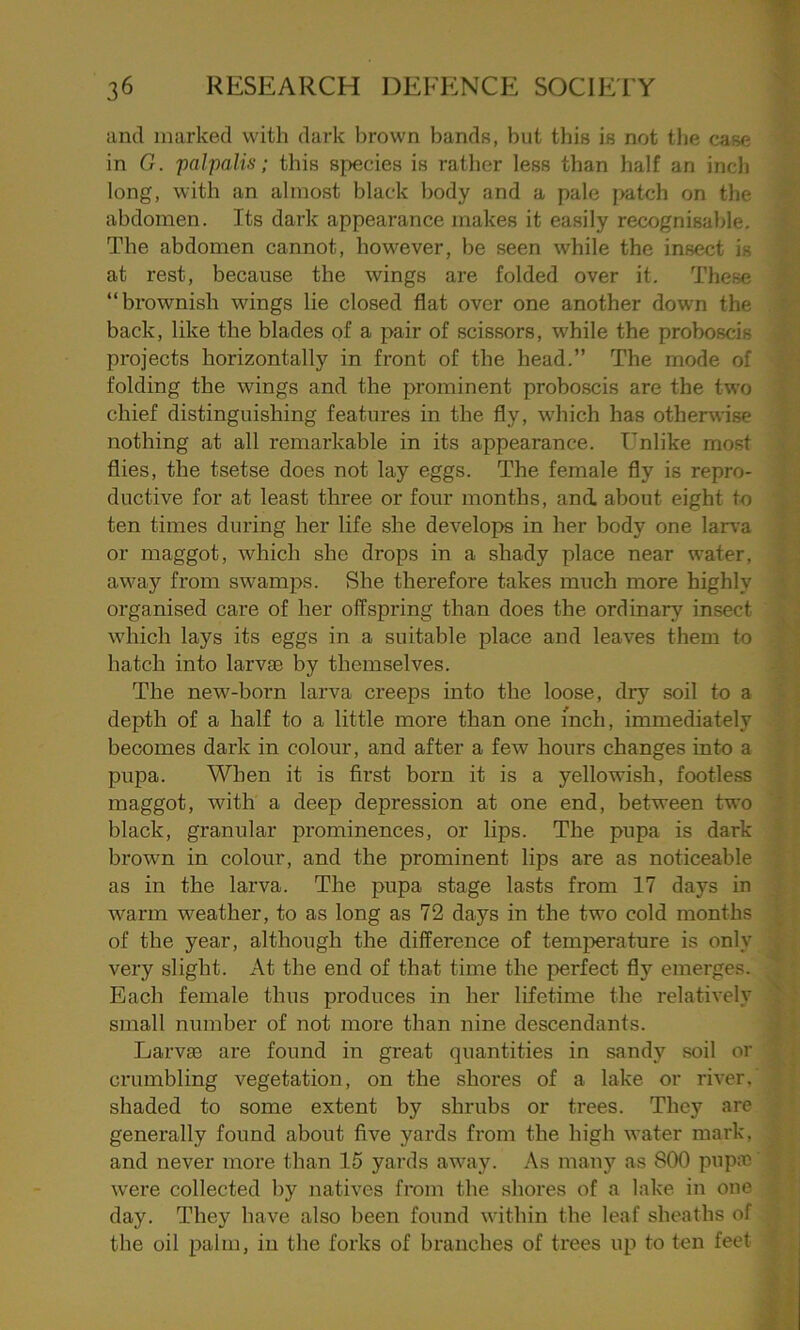 and marked with dark brown bands, but this is not the case in G. palpalis; this species is rather less than half an inch long, with an almost black body and a pale patch on the abdomen. Its dark appearance makes it easily recognisable. The abdomen cannot, however, be seen while the insect is at rest, because the wings are folded over it. These “brownish wings lie closed flat over one another down the back, like the blades of a pair of scissors, while the proboscis projects horizontally in front of the head.” The mode of folding the wings and the prominent proboscis are the two chief distinguishing features in the fly, which has otherwise nothing at all remarkable in its appearance. Unlike most flies, the tsetse does not lay eggs. The female fly is repro- ductive for at least three or four months, and about eight to ten times during her life she develops in her body one larva or maggot, which she drops in a shady place near water, away from swamps. She therefore takes much more highly organised care of her offspring than does the ordinary insect which lays its eggs in a suitable place and leaves them to hatch into larvae by themselves. The new-born larva creeps into the loose, dry soil to a depth of a half to a little more than one inch, immediately becomes dark in colour, and after a few hours changes into a pupa. When it is first born it is a yellowish, footless maggot, with a deep depression at one end, between two black, granular prominences, or lips. The pupa is dark brown in colour, and the prominent lips are as noticeable as in the larva. The pupa stage lasts from 17 days in warm weather, to as long as 72 days in the two cold months of the year, although the difference of temperature is only very slight. At the end of that time the perfect fly emerges. , Each female thus produces in her lifetime the relatively small number of not more than nine descendants. Larvae are found in great quantities in sandy soil or crumbling vegetation, on the shores of a lake or river, shaded to some extent by shrubs or trees. They are generally found about five yards from the high water mark, and never more than 15 yards away. As many as 800 pup®' were collected by natives from the shores of a lake in one day. They have also been found within the leaf sheaths of ! the oil palm, in the forks of branches of trees up to ten feet