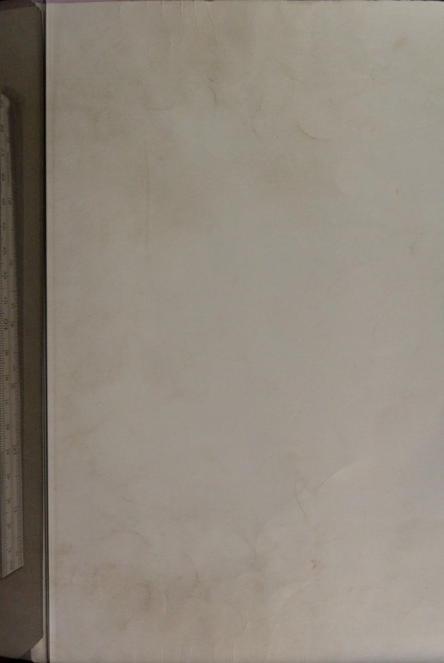 digitised image 1