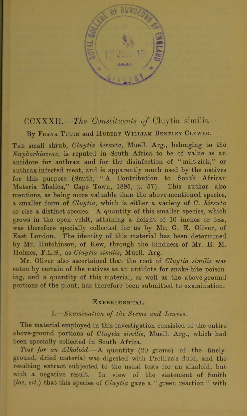 CCXXXII.—The Constituents of Cluytia similis. By Frank Tutin and Hubert William Bentley Clewer. The small shrub, Cluytia hirsuta, Muell. Arg., belonging to the Euphorbiaceae, is reputed in South Africa to be of value as an antidote for anthrax and for the disinfection of “ milLziek,” or anthrax-infected meat, and is apparently much used by the natives for this purpose (Smith, “ A Contribution to South African Materia Medica,” Cape Town, 1895, p. 57). This author also mentions, as being more valuable than the above-mentioned species, a smaller form of Cluytia, which is either a variety of C. hirsuta or else a distinct species. A quantity of this smaller species, which grows in the open veldt, attaining a height of 10 inches or less, was therefore specially collected for us by Mr. G. E. Oliver, of East London. The identity of this material has been determined by Mr. Hutchinson, of Kew, through the kindness of Mr. E. M. Holmes, F.L.S., as Cluytia similis, Muell. Arg. Mr. Oliver also ascertained that the root of Cluytia similis was eaten by certain of the natives as an antidote for snake-bite poison- ing, and a quantity of this material, as well as the above-ground portions of the plant, has therefore been submitted to examination. Experimental. I.—Examination of the Stems and Leaves. The material employed in this investigation consisted of the entire above-ground portions of Cluytia similis, Muell. Arg., which had been specially collected in South Africa. Test for an Alkaloid.—A quantity (20 grams) of the finely- ground, dried material was digested with Prollius’s fluid, and the resulting extract subjected to the usual tests for an alkaloid, but with a negative result. In view of the statement of Smith (loc. cit.) that this species of Cluytia gave a “ green reaction ” with