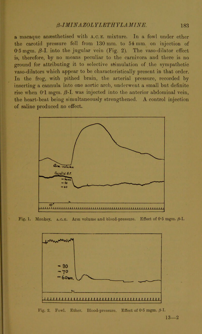 a macaque amesthetised with A.c. E. mixture. In a fowl under ether the carotid pressure fell from 130 mm. to 54 mm. on injection of 05 mgm. 0-1. into the jugular vein (Fig. 2). The vaso-dilator effect is, therefore, by no means peculiar to the carnivora and there is no ground for attributing it to selective stimulation of the sympathetic vaso-dilators which appear to be characteristically present in that order. In the frog, with pithed brain, the arterial pressure, recorded by inserting a cannula into one aortic arch, underwent a small but definite rise when 0T mgm. 0-1. was injected into the anterior abdominal vein, the heart-beat being simultaneously strengthened. A control injection of saline produced no effect. Fig. 1. Monkey, a.c.e. Arm volume and blood-pressure. Effect of 0-5 mgm. /9-I. Fig. 2. Fowl. Ether. Blood-pressure. Effect of 0-5 mgm. /3-I. 13—2