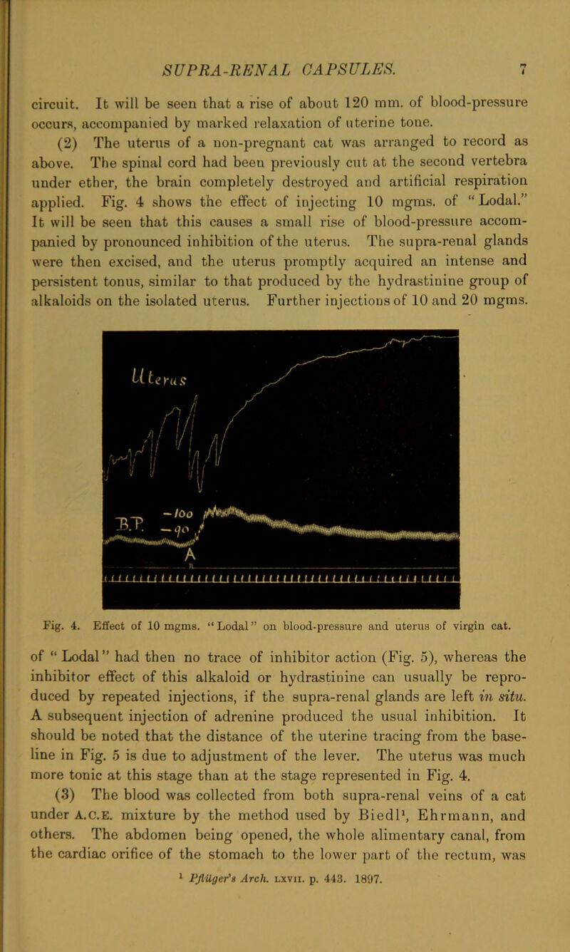 n circuit. It will be seen that a rise of about 120 mm. of blood-pressure occurs, accompanied by marked relaxation of uterine tone. (2) The uterus of a non-pregnant cat was arranged to record as above. The spinal cord had been previously cut at the second vertebra under ether, the brain completely destroyed and artificial respiration applied. Fig. 4 shows the effect of injecting 10 mgms. of “ Lodal.” It will be seen that this causes a small rise of blood-pressure accom- panied by pronounced inhibition of the uterus. The supra-renal glands were then excised, and the uterus promptly acquired an intense and persistent tonus, similar to that produced by the hydrastinine group of alkaloids on the isolated uterus. Further injections of 10 and 20 mgms. Fig. 4. Effect of 10 mgms. “ Lodal ” on blood-pressure and uterus of virgin cat. of “ Lodal” had then no trace of inhibitor action (Fig. 5), whereas the inhibitor effect of this alkaloid or hydrastinine can usually be repro- duced by repeated injections, if the supra-renal glands are left in situ. A subsequent injection of adrenine produced the usual inhibition. It should be noted that the distance of the uterine tracing from the base- line in Fig. 5 is due to adjustment of the lever. The uterus was much more tonic at this stage than at the stage represented in Fig. 4. (3) The blood was collected from both supra-renal veins of a cat under A.C.E. mixture by the method used by Biedl1, Ehrmann, and others. The abdomen being opened, the whole alimentary canal, from the cardiac orifice of the stomach to the lower part of the rectum, was 1 PJlilgefs Arch, lxvji. p. 443. 1897.