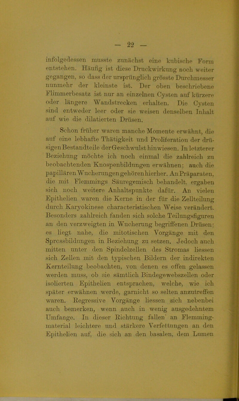 infolgedessen musste zunächst eine kubische Form entstehen. Häufig ist diese Druckwirkung noch weiter gegangen, so dass der ursprünglich grösste Durchmesser nunmehr der kleinste ist. Der oben beschriebene Flimmerbesatz ist nur an einzelnen Cysten auf kürzere oder längere Wandstrecken erhalten. Die Cysten sind entweder leer oder sie weisen denselben Inhalt auf wie die diktierten Drüsen. Schon früher waren manche Momente erwähnt, die auf eine lebhafte Thätigkeit und Proliferation der drü- sigenBestandteile derGeschwulst hinwiesen. In letzterer Beziehung möchte ich noch einmal die zahlreich zu beobachtenden Knospenbildungen erwähnen: auch die papillären W ucherungen gehören hierher. AnPräparaten, die mit Flemmings Säuregemisch behandelt, ergaben sich noch weitere Anhaltspunkte dafür. An vielen Epithelien waren die Kerne in der für die Zellteilung durch Karyokinese characteristischen Weise verändert. Besonders zahlreich fanden sich solche Teilungsfiguren an den verzweigten in Wucherung begriffenen Drüsen: es liegt nahe, die mitotischen Vorgänge mit den Sprcssbildüngen in Beziehung zu setzen. Jedoch auch mitten unter den Spindelzellen des Stromas Hessen sich Zellen mit den typischen Bildern der indirekten Kernteilung beobachten, von denen es offen gelassen werden muss, ob sie sämtlich Bindegewebszellen oder isolierten Epithelien entsprachen, welche, wie ich später erwähnen werde, gamicht so selten anzutreffen waren. Regressive Vorgänge Hessen sich nebenbei auch bemerken, wenn auch in wenig ausgedehntem Umfange. In dieser Richtung fallen' an Flemming- material leichtere und stärkere Verfettungen an den Epithelien auf, die sich an den basalen, dem Lumen