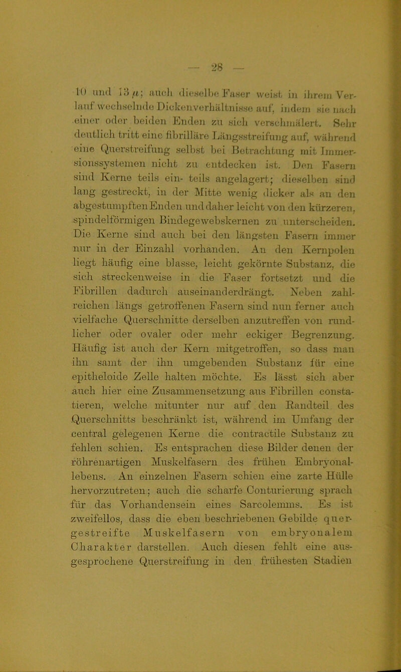 lauf wechselnde Diqkenverhältnisse auf, indem sie nach .einer oder beiden Enden zu sich verschmälert. Sehr deutlich tritt eine fibrilläre Längsstreifung auf, während eine Querstreifung selbst bei Betrachtung mit Immer- sionssystenven nicht zu entdecken ist. Den Fasern sind Kerne teils ein- teils angelagert; dieselben sind lang gestreckt, in der Mitte wenig dicker als an den abgestumpften Enden und daher leicht von den kürzeren, spindelförmigen Bindegewebskernen zu unterscheiden. Die Kerne sind auch bei den längsten Fasern immer nur in der Einzahl vorhanden. An den Kernpolen liegt häufig eine blasse, leicht gekörnte Substanz, die sich streckenweise in die Faser fortsetzt und die Fibrillen dadurch ausein and erdrängt. Neben zahl- reichen längs getroffenen Fasern sind nun ferner auch vielfache Querschnitte derselben anzutreffen von rund- licher oder ovaler oder mehr eckiger Begrenzung. Häufig ist auch der Kern mitgetroffen, so dass man ihn samt der ihn umgebenden Substanz für eine epitheloide Zelle halten möchte. Es lässt sich aber auch hier eine Zusammensetzung aus Fibrillen consta- tieren, welche mitunter nur auf den Randteil des Querschnitts beschränkt ist, während im Umfang der central gelegenen Kerne die contraetile Substanz zu fehlen schien. Es entsprachen diese Bilder denen der röhrenartigen Muskelfasern des frühen Embryonal- lebens. An einzelnen Fasern schien eine zarte Hülle hervorzutreten; auch die scharfe Conturierung sprach für das Vorhandensein eines Sarcolemms. Es ist zweifellos, dass die eben beschriebenen Gebilde quer- gestreifte Muskelfasern von embryonalem Charakter darstellen. Auch diesen fehlt eine aus- gesprochene Querstreifung in den frühesten Stadien