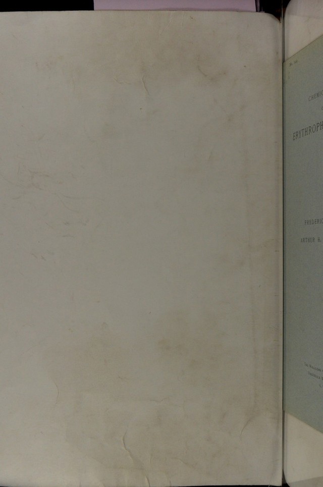 digitised image 2