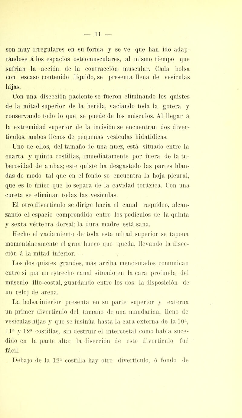 son mny irregulares en su forma y se ve que han ido adap- tándose á los espacios osteomusculares, al misino tiempo que sufrían la acción de la contracción muscular. Cada bolsa con escaso contenido líquido, se presenta llena de vesículas hijas. Con una disección paciente se fueron eliminando los quistes de la mitad superior de la herida, vaciando toda la gotera y conservando todo lo que se puede de los músculos. Al llegar á la extremidad superior de la incisión se encuentran dos diver- tículos, ambos llenos de pequeñas vesículas hidatídicas. Uno de ellos, del tamaño de una nuez, está situado entre la cuarta y quinta costillas, inmediatamente por fuera de la tu- berosidad de ambas; este quiste ha desgastado las partes blan- das de modo tal que en el fondo se encuentra la hoja pleural, que es lo único que lo separa de la cavidad toráxica. Con una cureta se eliminan todas las vesículas. El otro di vertí culo se dirige hacia el canal raquídeo, alcan- zando el espacio comprendido entre los pedículos de la quinta y sexta vértebra dorsal: la dura madre está sana. Hecho el vaciamiento de toda esta mitad superior se tapona momentáneamente el gran hueco que queda, llevando la disec- ción á la mitad inferior. Los dos quistes grandes, más arriba mencionados comunican entre sí por un estrecho canal situado en la cara profunda del músculo ílio-costal, guardando entre los dos la disposición de un reloj de arena. La bolsa inferior presenta en su parte superior y externa un primer divertículo del tamaño de una mandarina, lleno de vesículas hijas y que se insinúa hasta la cara externa de la 10a, 11a y 12a costillas, sin destruir el intercostal como había suce- dido en la parte alta; la disección de este divertículo fué fácil. Debajo de la 12a costilla hay otro divertículo, ó fondo de