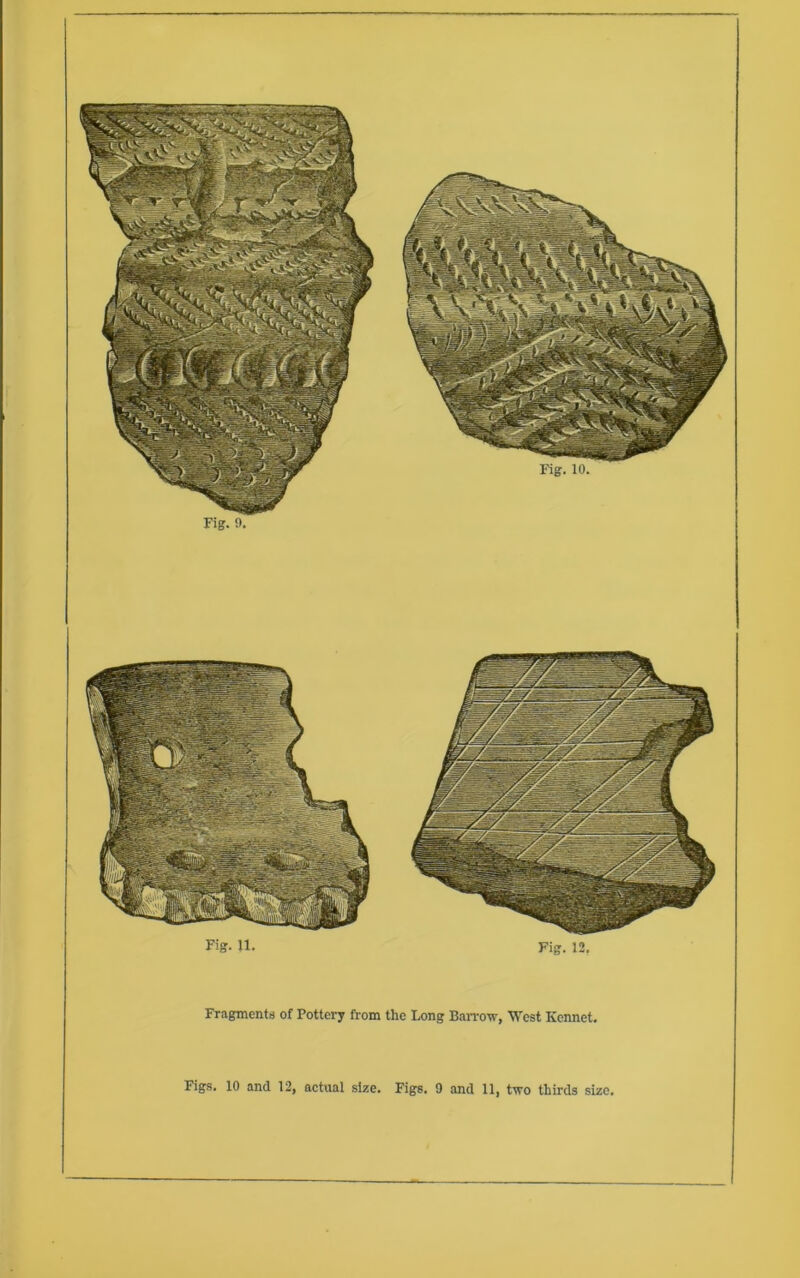 Fig. Jl. Fig. 12. Fragments of Pottery from the Long Banw, West Kennet.