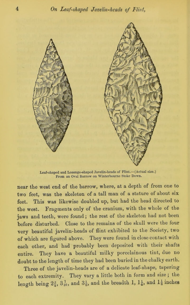 Leaf-shaped and Lozenge-shaped Javelin-heads of Flint.—(Actual size.) From an Oval Barrow on Winterbourne Stoke Down. near the west end of the barrow, where, at a depth of from one to two feet, was the skeleton of a tall man of a stature of about six feet. This was likewise doubled up, but had the head directed to the west. Fragments only of the cranium, with the whole of the jaws and teeth, were found ; the rest of the skeleton had not been before disturbed. Close to the remains of the skull were the lour very beautiful javelin-heads of flint exhibited to the Society, two of which are figured above. They were found in close contact with each other, and had probably been deposited with their shafts entire. They have a beautiful milky porcelainous tint, due no doubt to the length of time they had been buried in the chalky earth. Three of the javelin-heads are of a delicate leaf-shape, tapering to each extremity. They vary a little both in form and size ; the length being 2^, 3io> and 3g, and the breadth 1, 1^, and lg inches