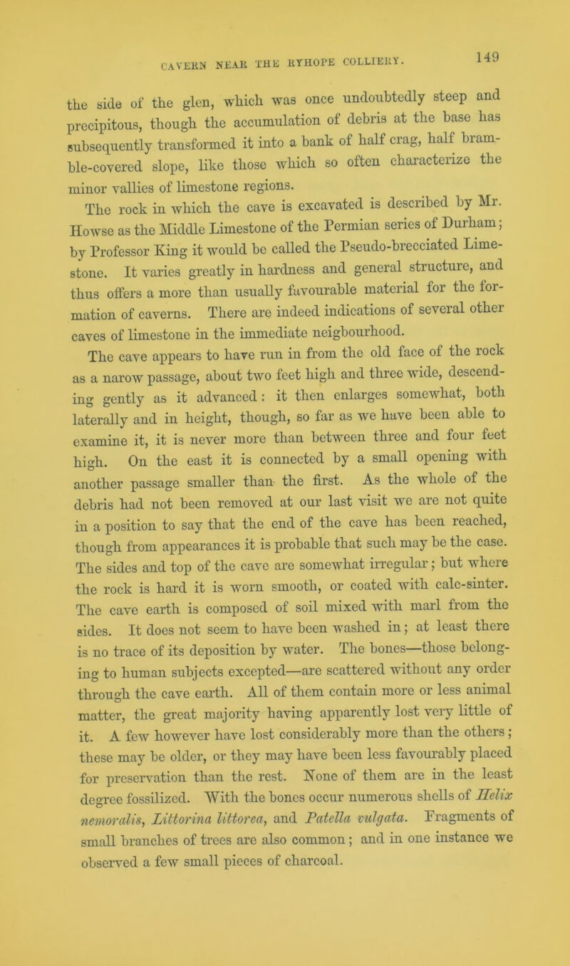 cavern near the ryhope colliery. the side of the glen, which was once undoubtedly steep and precipitous, though the accumulation of debris at the base has subsequently transformed it into a bank of half crag, half bram- ble-covered slope, like those which so often characterize the minor vallies of limestone regions. The rock in which the cave is excavated is described by Mr. Howse as the Middle Limestone of the Permian series of Durham; by Professor King it would be called the Pseudo-brecciated Lime- stone. It varies greatly in hardness and general structure, and thus offers a more than usually favourable material for the for- mation of caverns. There are indeed indications of several other caves of limestone in the immediate neigbourhood. The cave appears to have run in from the old face of the rock as a narow passage, about two feet high and three wide, descend- ing gently as it advanced: it then enlarges somewhat, both laterally and in height, though, so far as we have been able to examine it, it is never more than between three and four feet high. On the east it is connected by a small opening with another passage smaller than the first. As the whole of the debris had not been removed at our last visit we are not quite in a position to say that the end of the cave has been reached, though from appearances it is probable that such may be the case. The sides and top of the cave are somewhat irregular; but where the rock is hard it is worn smooth, or coated with calc-sinter. The cave earth is composed of soil mixed with marl from the sides. It does not seem to have been washed in; at least there is no trace of its deposition by water. The bones—those belong- ing to human subjects excepted—are scattered without any order through the cave earth. All of them contain more or less animal matter, the great majority having apparently lost very little of it. A few however have lost considerably more than the others ; these may be older, or they may have been less favourably placed for preservation than the rest. Konc of them are in the least degree fossilized. With the bones occur numerous shells of Helix ncmoralis, Littorina littorea, and Patella vulgata. Fragments of small branches of trees arc also common; and in one instance we observed a few small pieces of charcoal.