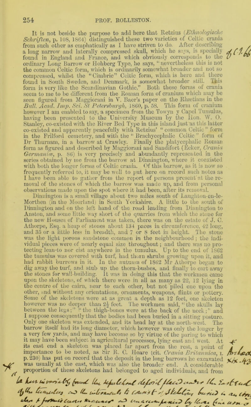 It is not beside the purpose to add here that Retzius (.Etknologischc Schriften, p. loS, 1864) distinguished these two varieties of Celtic crania from such other as emphatically as I have striven to do. After describing a long narrow and laterally compressed skull, which he says, is specially found in England and France, and which obviously corresponds to the ordinary Long Barrow or Hohberg Type, ho says, “nevertheless this is not the common Celtic form, which is ordinarily somewhat broader and not so compressed, whilst the “Cimbric” Celtic form, which is here and there found in South Sweden, and Denmark, is somewhat broader still. This form is very like the Scandinavian Gothic.” Both these forms of crania seem to me to be different from the Roman form of cranium which may be seen figured from Maggiorani in V. Baer’s paper on the Rlnetiaus in the Bull. Acacl. Imp. Sci. St Petersburgh, i860, p. 58. This form of cranium however 1 am enabled to say, a specimen from the Towyn y Capcl Tumulus, having been presented to the University Museum by the Hon. W. 0. Stanley, co-existed with the River Bed Type in this island just as this latter co-existed and apparently peacefully with Retzius’ “ common Celtic ” form in the Frilford cemetery, and with the “ Brachycephalic Celtic ” form of Dr Tliurnam, in a barrow at Crawley. Finally the platycephalic Roman form as figured and described by Maggiorani and Sandifort (Ecker, Crania Germanic#, p. 86) is very precisely and abundantly represented in the series obtained by me from the barrow at Dinnington, where it coexisted with both the longer forms of Celtic crania. Of this barrow, as it is now so frequently referred to, it may be well to put here on record such notes as I have been able to gather from the report of persons present'at the re- moval of the stones of which the barrow was made up, and from personal observations made upon the spot where it had been, after its removal. Dinnington is a small village about two miles south of Laughton-en-le- Morthen (in the Moorland) in South Yorkshire. A little to the south of Dinnington and on the left hand of the road leading from Dinnington to Anston, and some little way short of the quarries from which the stone for the new Houses of Parliament was taken, there was on the estate of J. C. Athorpe, Esq. a heap of stones about 184 paces in circumference. 42 long, and 35 or a little less in breadth, and 7 or 8 feet in height. The stone was the light porous sandstone common in the neighbourhood ; the indi- vidual pieces were of nearly equal size throughout; and there was no pro- tecting lean-to nor cist anywhere in the tumulus. Up) to the end of 1862 the tumulus was covered with turf, had thorn shrubs growing upon it, and had rabbit burrows in it. In the autumn of 1862 Mr Athorpe began to dig away the turf, and stub up the thorn-bushes, and finally to cart away the stones for wall-building, it was in doing this that the workmen came upon the skeletons, of which there were in all as many as 22, 12 lying in the centre of the cairn, near to each other, but not piled one upion the other, ;;nd without any orientations, ornaments, weapons, flints or piottcry. Some of the skeletons were at as great a depth as 12 feet, one skeleton however was no deeper than 2| feet. The workmen said, “ the skulls lay between the legs;” “the thigh-bones were at the back of the neck;” and I suppose consequently that the bodies had been buried in a sitting posture. Only one skeleton was extended, and its head lay at the north-west. The barrow itself had its long diameter, which however was only the longer by a very few yards, and may have become so by virtue of the paring to which it may have been subject in agricultural processes, lying east and west. At its east end a skeleton was placed far apart from the rest, a point of importance to be noted, as Sir R. C. Hoare (cit. Crania BHtannica, l. p. 230) has pmt on record that the deposit in the long barrows he excavated was usually at the east, which was also the broader end. A considerable proportion of these skeletons had belonged to aged individuals, and from ^ ^ JU-0C**-*> /sy / ./ / t