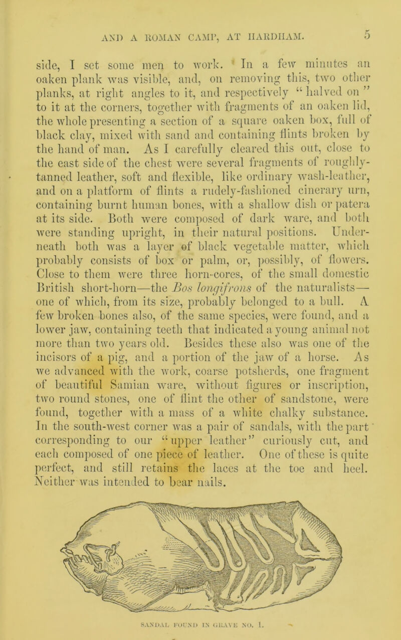 side, I set some men to work. In a few minutes an oaken plank was visible, and, on removing this, two other planks, at right angles to it, and respectively “ halved on ” to it at the corners, together with fragments of an oaken lid, the whole presenting a section of a square oaken box, full of black clay, mixed with sand and containing Hints broken by the hand of man. As I carefully cleared this out, close to the east side of the chest were several fragments of roughly- tanned leather, soft and flexible, like ordinary wash-leather, and on a platform of flints a rudely-fashioned cinerary urn, containing burnt human bones, with a shallow dish or patera at its side. Both were composed of dark ware, and both were standing upright, in their natural positions. Under- neath both was a layer of black vegetable matter, which probably consists of box or palm, or, possibly, of flowers. Close to them were three horn-cores, of the small domestic British short-horn—the Bos longifrons of the naturalists— one of which, from its size, probably belonged to a bull. A few broken bones also, of the same species, were found, and a lower jaw, containing teeth that indicated a young animal not more than two years old. Besides these also was one of the incisors of a pig, and a portion of the jaw of a horse. As we advanced with the work, coarse potsherds, one fragment of beautiful Samian ware, without figures or inscription, two round stones, one of flint the other of sandstone, were found, together with a mass of a white chalky substance. In the south-west corner was a pair of sandals, with the part corresponding to our “ upper leather ” curiously cut, and each composed of one piece of leather. One of these is quite perfect, and still retains the laces at the toe and heel. Neither was intended to bear nails. SANDAL FOUND IN G1IAVE NO. 1.