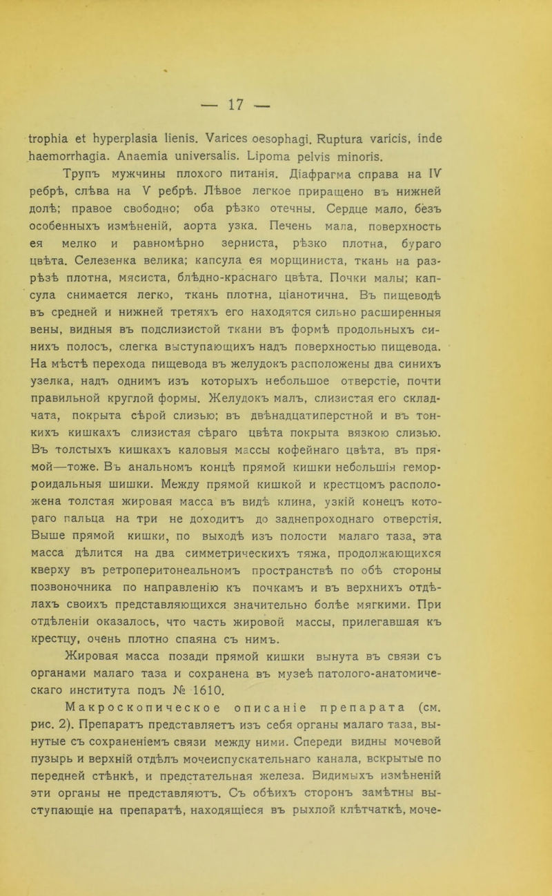 ІгорЬіа еі Ьурегріазіа Ііепіз. Ѵагісез оезорЬаді. Киріига ѵагісіз, іпсіе ЬаетоггЬадіа. Апаетіа ипіѵегзаііз. Ьірота реіѵіз тіпогіз. Трупъ мужчины плохого питанія. Діафрагма справа на IV ребрѣ, слѣва на V ребрѣ. Лѣвое легкое приращено въ нижней долѣ; правое свободно; оба рѣзко отечны. Сердце мало, безъ особенныхъ измѣненій, аорта узка. Печень мала, поверхность ея мелко и равномѣрно зерниста, рѣзко плотна, бураго цвѣта. Селезенка велика; капсула ея морщиниста, ткань на раз- рѣзѣ плотна, мясиста, блѣдно-краснаго цвѣта. Почки малы; кап- сула снимается легко, ткань плотна, ціанотична. Въ пищеводѣ въ средней и нижней третяхъ его находятся сильно расширенныя вены, видныя въ подслизистой ткани въ формѣ продольныхъ си- нихъ полосъ, слегка выступающихъ надъ поверхностью пищевода. На мѣстѣ перехода пищевода въ желудокъ расположены два синихъ узелка, надъ однимъ изъ которыхъ небольшое отверстіе, почти правильной круглой формы. Желудокъ малъ, слизистая его склад- чата, покрыта сѣрой слизью; въ двѣнадцатиперстной и въ тон- кихъ кишкахъ слизистая сѣраго цвѣта покрыта вязкою слизью. Въ толстыхъ кишкахъ каловыя массы кофейнаго цвѣта, въ пря- мой—тоже. Въ анальномъ концѣ прямой кишки небольшія гемор- роидальныя шишки. Между прямой кишкой и крестцомъ располо- жена толстая жировая масса въ видѣ клина, узкій конецъ кото- раго пальца на три не доходитъ до заднепроходнаго отверстія. Выше прямой кишки, по выходѣ изъ полости малаго таза, эта масса дѣлится на два симметрическихъ тяжа, продолжающихся кверху въ ретроперитонеальномъ пространствѣ по обѣ стороны позвоночника по направленію къ почкамъ и въ верхнихъ отдѣ- лахъ своихъ представляющихся значительно болѣе мягкими. При отдѣленіи оказалось, что часть жировой массы, прилегавшая къ крестцу, очень плотно спаяна съ нимъ. Жировая масса позади прямой кишки вынута въ связи съ органами малаго таза и сохранена въ музеѣ патолого-анатомиче- скаго института подъ № 1610. Макроскопическое описаніе препарата (см. рис. 2). Препаратъ представляетъ изъ себя органы малаго таза, вы- нутые съ сохраненіемъ связи между ними. Спереди видны мочевой пузырь и верхній отдѣлъ мочеиспускательнаго канала, вскрытые по передней стѣнкѣ, и предстательная железа. Видимыхъ измѣненій эти органы не представляютъ. Съ обѣихъ сторонъ замѣтны вы- ступающіе на препаратѣ, находящіеся въ рыхлой клѣтчаткѣ, моче-