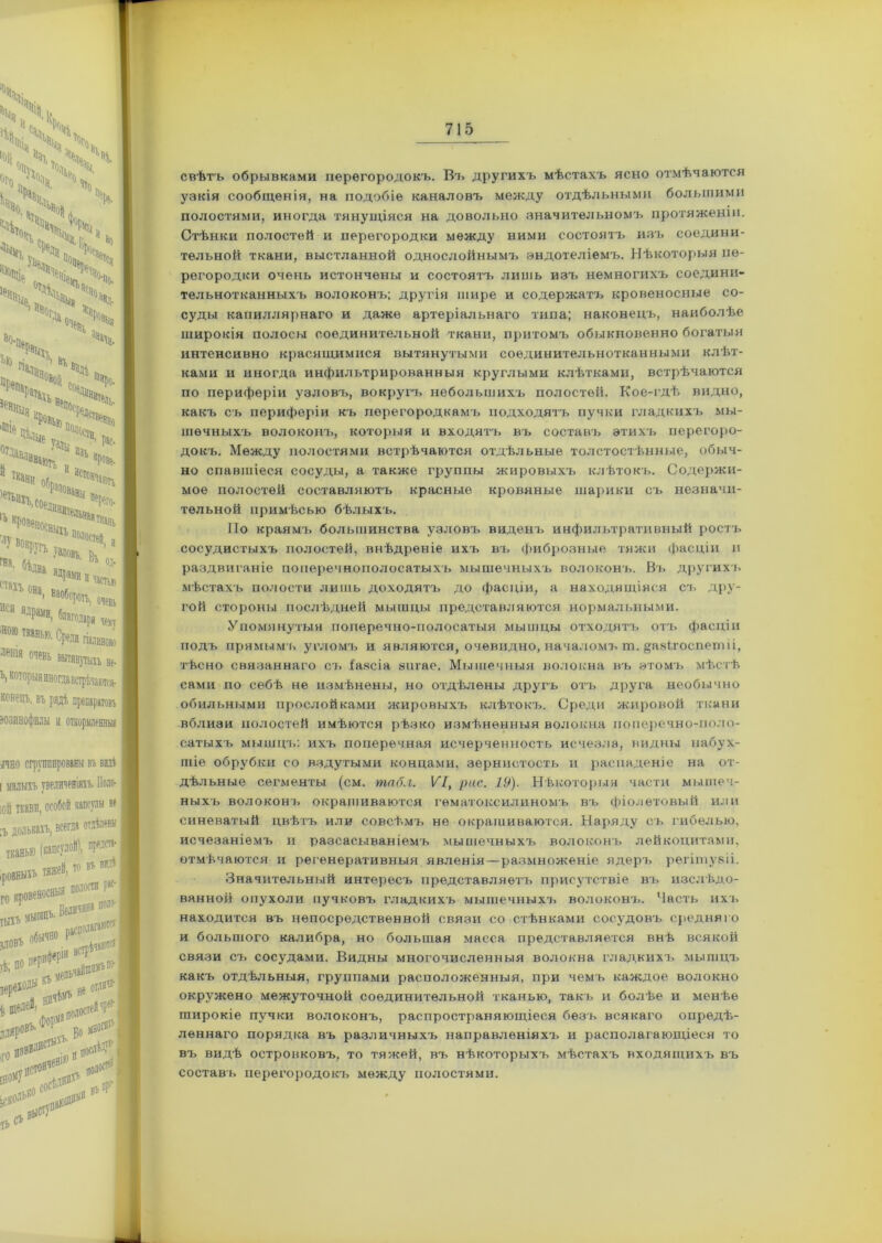 Ч Ч Ч. Ч ч Пк ѵ ч !! ч> ч.> чХЧ 4%, %>ч? ^ V Ч. N Ѵі>л- % Ч, Чй ч Чч> ‘ х, йй°гда л. Чо, Ч>П 'О Ч„>С‘ т. н кровью „ ДствЧ 'ЩЧцеѵ ПоЧра, °ТДав-іиваюп‘ 1131 “X ВСІ%ЮП ПеРего- )(Ѵп, ^чзона ІЪКрове«0^ТпЬНаЯТК,аі ,и Гяді,аш,в^ • я ,на' побороть, о,евь И(я ЯДРВД, благодаря щ Н0І° тканью. Среди гіалиново ленія 0,,ень ВЫТЯН)ТШ1 не ь, которыя иногда встрѣчаются- конецъ, въ рядѣ препаратовъ эозинофилы а откормленны» тированы въ видѣ велдаіяхъ. Поло- особой капсулы не ь, всегда отдѣлены іапсулой), продета- ■яжей, то въ видѣ оиыя полости рае- №, Величая* им®' ,во расиолагаются | ВОТ] , не .л»1 ,.*3 яП иоло^1 ] •* м свѣтъ обрывками перегородокъ. Въ другихъ мѣстахъ ясно отмѣчаются узкія сообщенія, на подобіе каналовъ между отдѣльными большими полостями, иногда тянущіяся на довольно значительномъ протяженіи. Стѣнки полостей и перегородки между ними состоятъ изъ соедини- тельной ткани, выстланной однослойнымъ эндотеліемъ. Нѣкоторыя пе- регородки очень истончены и состоятъ лишь изъ немногихъ соедини- тельнотканныхъ волоконъ; другія шире и содержатъ кровеносные со- суды капиллярнаго и даже артеріальнаго типа; наконецъ, наиболѣе широкія полосы соединительной ткани, притомъ обыкновенно богатыя интенсивно красящимися вытянутыми соединительнотканными клѣт- ками и иногда инфильтрированныя круглыми клѣтками, встрѣчаются по периферіи узловъ, вокругъ небольшихъ полостей. Кое-гдѣ видно, какъ съ периферіи къ перегородкамъ подходятъ пучки гладкихъ мы- шечныхъ волоконъ, которыя и входятъ въ составъ этихъ перегоро- докъ. Между полостями встрѣчаются отдѣльные толстостѣнные, обыч- но спавшіеся сосуды, а также группы жировыхъ клѣтокъ. Содержи- мое полостей составляютъ красные кровяные шарики съ незначи- тельной примѣсью бѣлыхъ. По краямъ большинства узловъ виденъ инфильтративный ростъ сосудистыхъ полостей, внѣдреніе ихъ въ фиброзные тяжи фасціи и раздвиганіе поперечнополосатыхъ мышечныхъ волоконъ. Въ другихъ мѣстахъ полости лишь доходятъ до фасціи, а находящіяся съ дру- гой стороны послѣдней мышцы представляются нормальными. Упомянутыя поперечно-полосатыя мышцы отходятъ отъ фасціи подъ прямымъ угломъ и являются, очевидно, началомъ ш. §а8Ігоспетіі, тѣсно связаннаго съ іачсіа ашае. Мышечныя волокна въ этомъ мѣстѣ сами по себѣ не измѣнены, но отдѣлены другъ отъ друга необычно обильными прослойками жировыхъ клѣтокъ. Среди жировой ткани вблизи полостей имѣются рѣзко измѣненныя волокна поперечно-поло- сатыхъ мышцъ: ихъ поперечная исчерченность исчезла, видны набух- шіе обрубки со вздутыми концами, зернистость и распаденіе на от- дѣльные сегменты (см. табл. VI, рис. 19). Нѣкоторыя части мышеч- ныхъ волоконъ окрашиваются гематоксилиномъ въ фіолетовый или синеватый цвѣтъ или совсѣмъ не окрашиваются. Наряду съ гибелью, исчезаніемъ и разсасываніемъ мышечныхъ волоконъ лейкоцитами, отмѣчаются и регенеративныя явленія—размноженіе ядеръ регішуаіі. Значительный интересъ представляетъ присутствіе въ изслѣдо- ванной опухоли пучковъ гладкихъ мышечныхъ волоконъ. Часть ихъ находится въ непосредственной связи со стѣнками сосудовъ средняго и большого калибра, но большая масса представляется внѣ всякой связи съ сосудами. Видны многочисленныя волокна гладкихъ мышцъ какъ отдѣльныя, группами расположенныя, при чемъ каждое волокно окружено межуточной соединительной тканью, такъ и болѣе и менѣе широкіе пучки волоконъ, распространяющіеся безъ всякаго опредѣ- леннаго порядка въ различныхъ направленіяхъ и располагающіеся то въ видѣ островковъ, то тяжей, въ нѣкоторыхъ мѣстахъ входящихъ въ составъ перегородокъ между полостями.