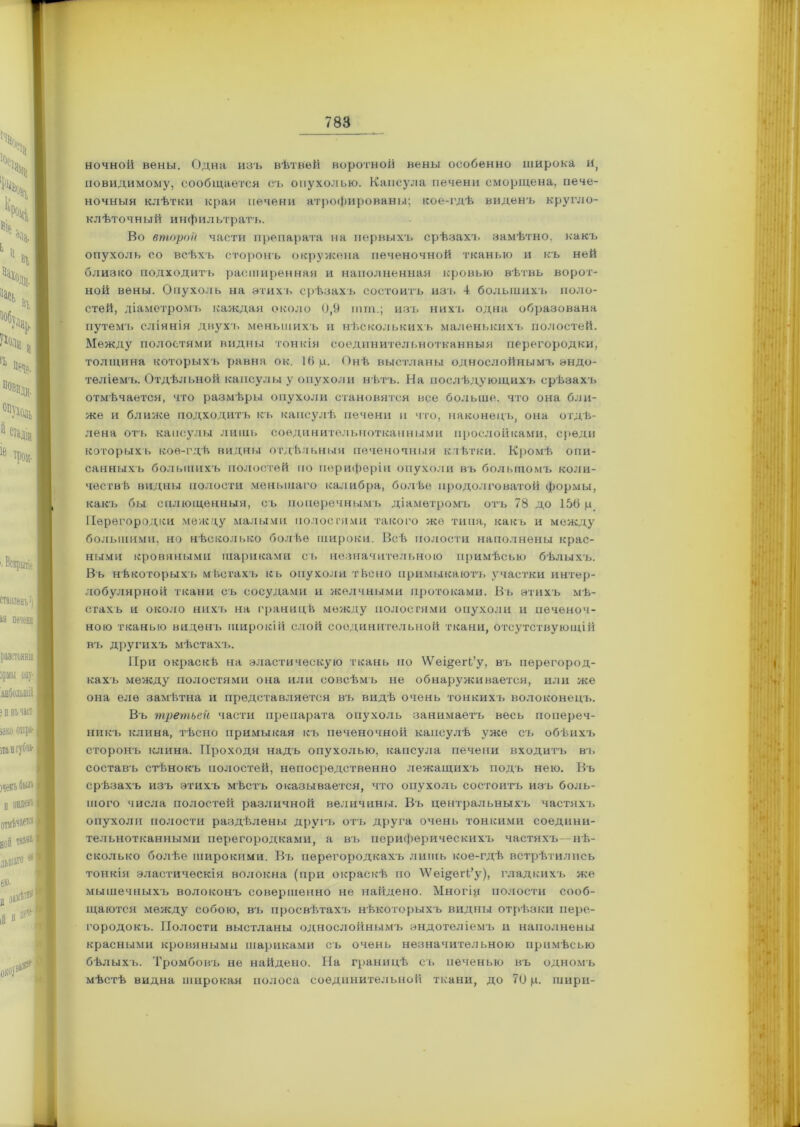 ночной вены. Одна изъ вѣтвей воротной вены особенно широка и, невидимому, сообщается съ опухолью. Капсула печени сморщена, пече- ночныя клѣтки края печени атрофированы; кое-гдѣ виденъ кругло- клѣточный инфильтратъ. Во второй части препарата на первыхъ срѣзахъ замѣтно, какъ опухоль со всѣхъ сторонъ окружена печеночной тканью и къ ней близко подходитъ расширенная и наполненная кровью вѣтвь ворот- ной вены. Опухоль на этихъ срѣзахъ состоитъ изъ 4 большихъ поло- стей, діаметромъ каждая около 0,9 шгп.; изъ нихъ одна образована путемъ сліянія двухъ меньшихъ и нѣсколькихъ маленькихъ полостей. Между полостями видны тонкія соединительнотканныя перегородки, толщина которыхъ равна ок. 16 ц. Онѣ выстланы однослойнымъ эндо- теліемъ. Отдѣльной капсулы у опухоли нѣтъ. На послѣдующихъ срѣзахъ отмѣчается, что размѣры опухоли становятся все больше, что она бли- же и ближе подходитъ къ капсулѣ печени и что, наконецъ, она отдѣ- лена отъ капсулы лишь соединительнотканными прослойками, среди которыхъ кое-гдѣ видны отдѣльныя печеночныя клѣтки. Кромѣ опи- санныхъ большихъ полостей по периферіи опухоли въ большомъ коли- чествѣ видны полости меньшаго калибра, болѣе продолговатой формы, какъ бы сплющенныя, съ поперечнымъ діаметромъ отъ 78 до 156 и Перегородки между малыми полостями такого же типа, какъ и между большими, но нѣсколько болѣе широки. Всѣ полости наполнены крас- ными кровяными шариками съ незначительною примѣсыо бѣлыхъ. Въ нѣкоторыхъ мѣстахъ къ опухоли тЬсно примыкаютъ участки интер- лобулярной ткани съ сосудами и желчными протоками. Въ этихъ мѣ- стахъ и около нихъ на границѣ между полостями опухоли и печеноч- ною тканью виденъ широкій слой соединительной ткани, отсутствующій въ другихъ мѣстахъ. При окраскѣ на эластическую ткань по \ѴещегЬ’у, въ перегород- кахъ между полостями она или совсѣмъ не обнаруживается, или же она еле замѣтна и представляется въ видѣ очень тонкихъ волоконецъ. Въ третьей части препарата опухоль занимаетъ весь попереч- никъ клина, тѣсно примыкая къ печеночной капсулѣ уже съ обѣихъ сторонъ клина. Проходя надъ опухолью, капсула печени входитъ въ составъ стѣнокъ полостей, непосредственно лежащихъ подъ нею. Въ срѣзахъ изъ этихъ мѣстъ оказывается, что опухоль состоитъ изъ боль- шого числа полостей различной величины. Въ центральныхъ частяхъ опухоли полости раздѣлены другъ отъ друга очень тонкими соедини- тельнотканными перегородками, а въ периферическихъ частяхъ—нѣ- сколько болѣе широкими. Въ перегородкахъ лишь кое-гдѣ встрѣтились тонкія эластическія волокна (при окраскѣ по \Ѵеіегі’у), гладкихъ же мышечныхъ волоконъ совершенно не найдено. Многія полости сооб- щаются между собою, въ просвѣтахъ нѣкоторыхъ видны отрѣзки пере- городокъ. Полости выстланы однослойнымъ эндотеліемъ и наполнены красными кровяными шариками съ очень незначительною примѣсью бѣлыхъ. Тромбовъ не найдено. На границѣ съ печенью въ одномъ мѣстѣ видна широкая полоса соединительной ткани, до 7(1 ц. шири-