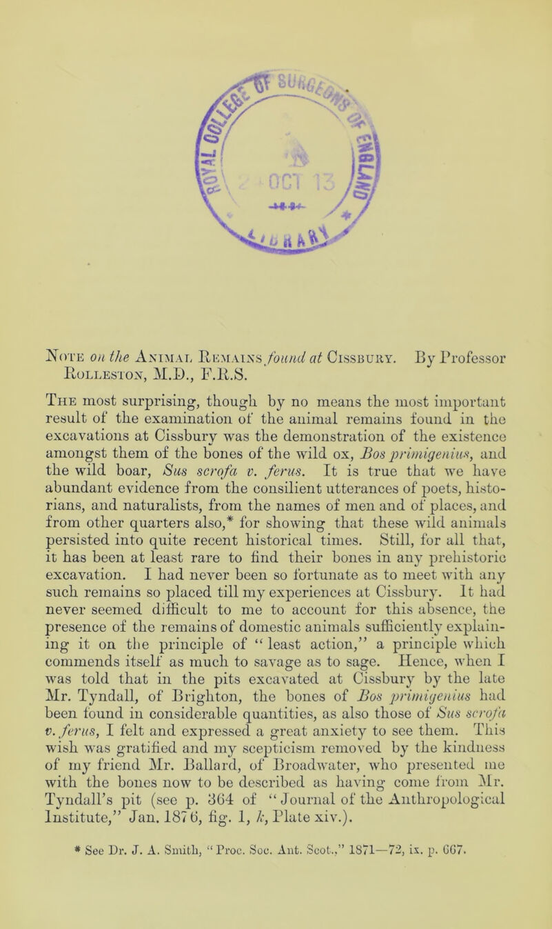 Note on the Animal Remains/omwc/ at Cissbuuy. By Professor Rolleston, M.D., F.ll.S. The most surprising, though by no means the most important result of the examination of the animal remains found in the excavations at Cissbury was the demonstration of the existence amongst them of the bones of the wild ox, Bos primigenius, and the wild boar, Sus scrofa v. ferus. It is true that we have abundant evidence from the consilient utterances of poets, histo- rians, and naturalists, from the names of men and of places, and from other quarters also,* for showing that these wild animals persisted into quite recent historical times. Still, for all that, it has been at least rare to find their bones in any prehistoric excavation. I had never been so fortunate as to meet with any such remains so placed till my experiences at Cissbury. It had never seemed difficult to me to account for this absence, the presence of the remains of domestic animals sufficiently explain- ing it on the principle of “ least action,” a principle which commends itself as much to savage as to sage. Hence, when I was told that in the pits excavated at Cissbury by the late Mr. Tyndall, of Brighton, the bones of Bos primigenius had been found in considerable quantities, as also those of Sus scrofa v. ferns, I felt and expressed a great anxiety to see them. This wish was gratified and my scepticism removed by the kindness of my friend Mr. Ballard, of Broadwater, who presented me with the bones now to be described as having come from Mr. Tyndall’s pit (see p. 364 of “ Journal of the Anthropological Institute,” Jan. 187 6, fig. 1, k, Plate xiv.).