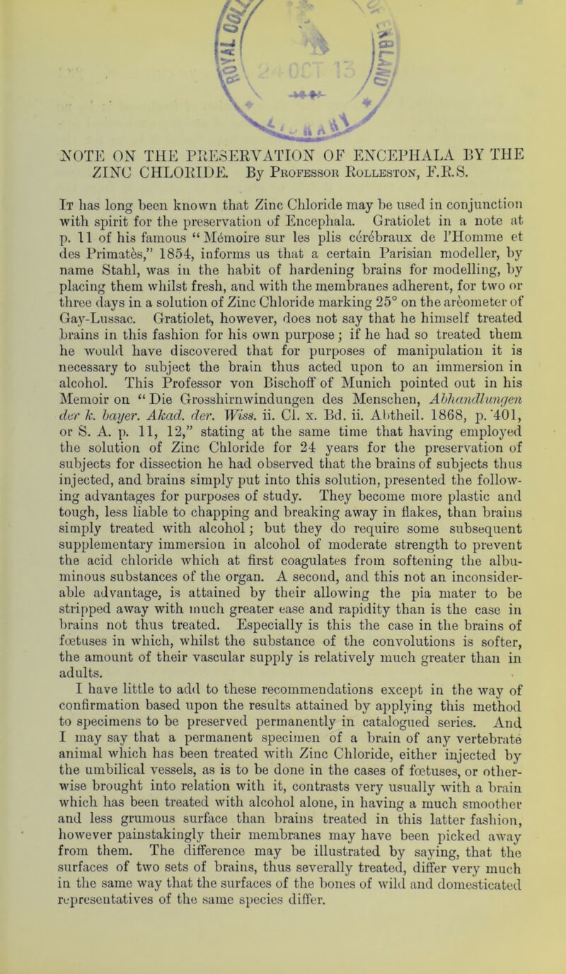 NOTE ON THE PRESERVATION OF ENCEPHALA BY THE ZINC CHLORIDE. By Professor Rolleston, E.R.S. It has long been known that Zinc Chloride may he used in conjunction with spirit for the preservation of Encephala. Gratiolet in a note at p. 11 of his famous “ MOnoire sur les plis cerebraux de l’Homme et des Primates,” 1854, informs us that a certain Parisian modeller, by name Stahl, was in the habit of hardening brains for modelling, by placing them whilst fresh, and with the membranes adherent, for two or three days in a solution of Zinc Chloride marking 25° on the areometer of Gay-Lussac. Gratiolet, however, does not say that he himself treated brains in this fashion for his own purpose; if he had so treated them he would have discovered that for purposes of manipulation it is necessary to subject the brain thus acted upon to an immersion in alcohol. This Professor von Bischoff of Munich pointed out in his Memoir on “ Die Grosshirnwindungen des Menschen, Abhandlungen dev k. Layer. Alcacl. der. Wiss. ii. Cl. x. Bd. ii. Abtheil. 1868, p.'401, or S. A. p. 11, 12,” stating at the same time that having employed the solution of Zinc Chloride for 24 years for the preservation of subjects for dissection he had observed that the brains of subjects thus injected, and brains simply put into this solution, presented the follow- ing advantages for purposes of study. They become more plastic and tough, less liable to chapping and breaking away in flakes, than brains simply treated with alcohol; but they do require some subsequent supplementary immersion in alcohol of moderate strength to prevent the acid chloride which at first coagulates from softening the albu- minous substances of the organ. A second, and this not an inconsider- able advantage, is attained by their allowing the pia mater to be stripped away with much greater ease and rapidity than is the case in brains not thus treated. Especially is this the case in the brains of foetuses in which, whilst the substance of the convolutions is softer, the amount of their vascular supply is relatively much greater than in adults. I have little to add to these recommendations except in the way of confirmation based upon the results attained by applying this method to specimens to be preserved permanently in catalogued series. And I may say that a permanent specimen of a brain of any vertebrate animal which has been treated with Zinc Chloride, either injected by the umbilical vessels, as is to be done in the cases of foetuses, or other- wise brought into relation with it, contrasts very usually with a brain which has been treated with alcohol alone, in having a much smoother and less grumous surface than brains treated in this latter fashion, however painstakingly their membranes may have been picked away from them. The difference may be illustrated by saying, that the surfaces of two sets of brains, thus severally treated, differ very much in the same way that the surfaces of the bones of wild and domesticated representatives of the same species differ.