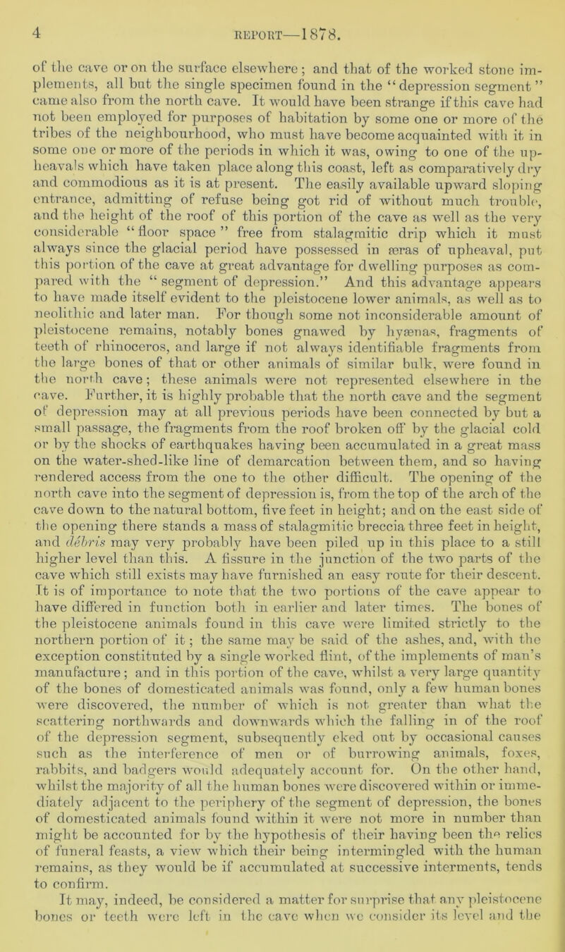 ot the cave or on the surface elsewhere; and that of the worked stone im- plements, all but the single specimen found in the “ depression segment ” came also from the north cave. It would have been strange if this cave had not been employed for purposes of habitation by some one or more of the tribes of the neighbourhood, who must have become acquainted with it in some one or more of the periods in which it was, owing to one of the up- heavals which have taken place along this coast, left as comparatively dry and commodious as it is at present. The easily available upward sloping entrance, admitting of refuse being got rid of without much trouble, and the height of the roof of this portion of the cave as well as the very considerable “floor space” free from stalagmitic drip which it must always since the glacial period have possessed in feras of upheaval, put this portion of the cave at great advantage for dwelling purposes as com- pared with the “ segment of depression.” And this advantage appears to have made itself evident to the pleistocene lower animals, as well as to neolithic and later man. For though some not inconsiderable amount of pleistocene remains, notably bones gnawed by hytenas, fragments of teeth of rhinoceros, and large if not always identifiable fragments from the large bones of that or other animals of similar bulk, were found in the north cave; these animals were not represented elsewhere in the cave. Further, it is highly probable that the north cave and the segment of depression may at all previous periods have been connected by but a small passage, the fragments from the roof broken off by the glacial cold or by the shocks of earthquakes having been accumulated in a great mass on the water-shed-like line of demarcation between them, and so having rendered access from the one to the other difficult. The opening of the north cave into the segment of depressioTi is, from the top of the arch of the cave down to the natural bottom, five feet in height; and on the east side of the opening there stands a mass of stalagmitic breccia three feet in height, and debris may very probably have been piled up in this place to a still higher level than this. A fissure in the junction of the two parts of the cave which still exists may have furnished an easy route for their descent, it is of importance to note that the two portions of the cave appear to have differed in function both in earlier and later times. The bones of the pleistocene animals found in this cave were limited strictly to the northern portion of it; the same may be said of the ashes, and, with the exception constituted by a single worked flint, of the implements of man’s manufacture; and in this portion of the cave, whilst a very large quantity of the bones of domesticated animals was found, only a few human bones were discovered, the number of which is not greater than what the scattering northwards and downwards which the falling in of the roof of the depression segment, subsequently eked out by occasional causes such as the interference of men or of burrowing animals, foxes, rabbits, and badgers would adequately account for. On the other hand, whilst the majority of all the human bones were discovered within or imme- diately adjacent to the periphery of the segment of depression, the bones of domesticated animals found within it were not more in number than might be accounted for by the hypothesis of their having been the relies of funeral feasts, a view which their being intermingled with the human remains, as they would be if accumulated at successive interments, tends to confirm. It may, indeed, be considered a matter for surprise that any pleistocene bones or teeth were left in the cave when we consider its level and the