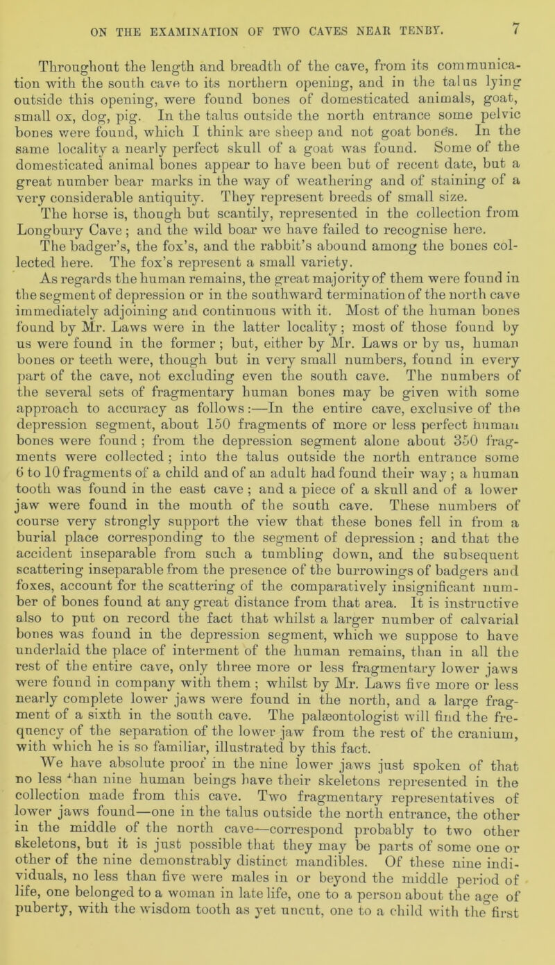 Throughout the length and breadth of the cave, from its communica- tion with the south cave to its northern opening, and in the talus lying outside this opening, were found bones of domesticated animals, goat, small ox, dog, pig. In the talus outside the north entrance some pelvic bones were found, which I think are sheep and not goat bone's. In the same locality a nearly perfect skull of a goat was found. Some of the domesticated animal bones appear to have been but of recent date, but a great number bear marks in the way of weathering and of staining of a very considerable antiquity. They represent breeds of small size. The horse is, though but scantily, represented in the collection from Longbury Cave; and the wild boar we have failed to recognise here. The badger’s, the fox’s, and the rabbit’s abound among the bones col- lected here. The fox’s represent a small variety. As regards the human remains, the great majority of them were found in the segment of depression or in the southward termination of the north cave immediately adjoining and continuous with it. Most of the human bones found by Mr. Laws were in the latter locality; most of those found by us were found in the former ; but, either by Mr. Laws or by us, human bones or teeth were, though but in very small numbers, found in every part of the cave, not excluding even the south cave. The numbers of the several sets of fragmentary human bones may be given with some approach to accuracy as follows:—In the entire cave, exclusive of the depression segment, about 150 fragments of more or less perfect human bones were found ; from the depression segment alone about 350 frag- ments were collected ; into the talus outside the north entrance some 6 to 10 fragments of a child and of an adult had found their way ; a human tooth was found in the east cave ; and a piece of a skull and of a lower jaw were found in the mouth of the south cave. These numbers of course very strongly support the view that these bones fell in from a burial place corresponding to the segment of depression ; and that the accident inseparable from such a tumbling down, and the subsequent scattering inseparable from the presence of the borrowings of badgers and foxes, account for the scattering of the comparatively insignificant num- ber of bones found at any great distance from that area. It is instructive also to put on record the fact that whilst a larger number of calvarial bones was found in the depression segment, which we suppose to have underlaid the place of interment of the human remains, than in all the rest of the entire cave, only three more or less fragmentary lower jaws were found in company with them ; whilst by Mr. Laws five more or less nearly complete lower jaws were found in the north, and a large frag- ment of a sixth in the south cave. The paleontologist will find the fre- quency of the separation of the lower jaw from the rest of the cranium, with which he is so familiar, illustrated by this fact. We have absolute proof in the nine lower jaws just spoken of that no less Tan nine human beings have their skeletons represented in the collection made from this cave. Two fragmentary representatives of lower jaws found—one in the talus outside the north entrance, the other in the middle of the north cave—correspond probably to two other skeletons, but it is just possible that they may be parts of some one or other of the nine demonstrably distinct mandibles. Of these nine indi- viduals, no less than five were males in or beyond the middle period of life, one belonged to a woman in late life, one to a person about the acre of puberty, with the wisdom tooth as yet uncut, one to a child with tlie°first