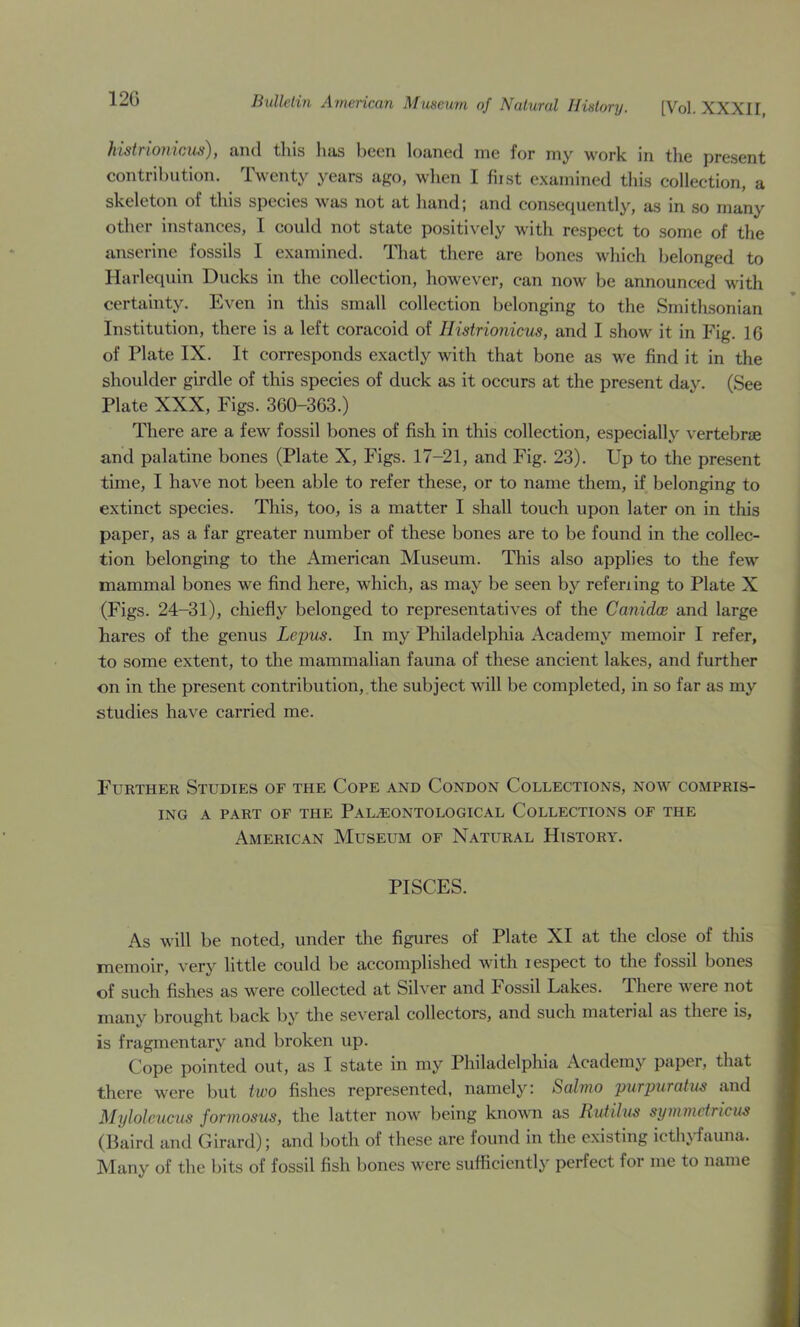 12G histrioniciis), and this lias been loaned me for my work in the present contribution. Twenty years ago, when I fiist examined this collection, a skeleton of this species was not at hand; and consequently, as in so many other instances, I could not state positively with respect to some of the anserine fossils I examined. That there are bones which belonged to Harlequin Ducks in the collection, however, can now be announced with certainty. Even in this small collection belonging to the Smithsonian Institution, there is a left coracoid of Histrionicus, and I show it in Fig. 16 of Plate IX. It corresponds exactly with that bone as we find it in the shoulder girdle of this species of duck as it occurs at the present day. (See Plate XXX, Figs. 360-363.) There are a few fossil bones of fish in this collection, especially vertebrse and palatine bones (Plate X, Figs. 17-21, and Fig. 23). Up to the present time, I have not been able to refer these, or to name them, if belonging to extinct species. This, too, is a matter I shall touch upon later on in this paper, as a far greater number of these bones are to be found in the collec- tion belonging to the American Museum. This also applies to the few mammal bones we find here, which, as may be seen by refen ing to Plate X (Figs. 24-31), chiefly belonged to representatives of the CanidcB and large hares of the genus Lepus. In my Philadelphia Academy memoir I refer, to some extent, to the mammalian fauna of these ancient lakes, and further on in the present contribution, the subjeet will be completed, in so far as my studies have carried me. Furthee Studies of the Cope and Condon Collections, now compris- ing A PART OF THE PALAEONTOLOGICAL COLLECTIONS OF THE American Museum of Natural History. PISCES. As will be noted, under the figures of Plate XI at the close of this memoir, very little could be accomplished with lespect to the fossil bones of such fishes as w^ere collected at Silver and Fossil Lakes. There were not many brought back by the several collectors, and such material as there is, is fragmentary and broken up. Cope pointed out, as I state in my Philadelphia Academy paper, that there were but two fishes represented, namely: Salnio purpuratus and Mylolcucus formosus, the latter now being known as Rutilus synimctricus (Baird and Girard); and both of these are found in the existing icth^dauna. Many of the bits of fossil fish bones were sufficiently perfect for me to name
