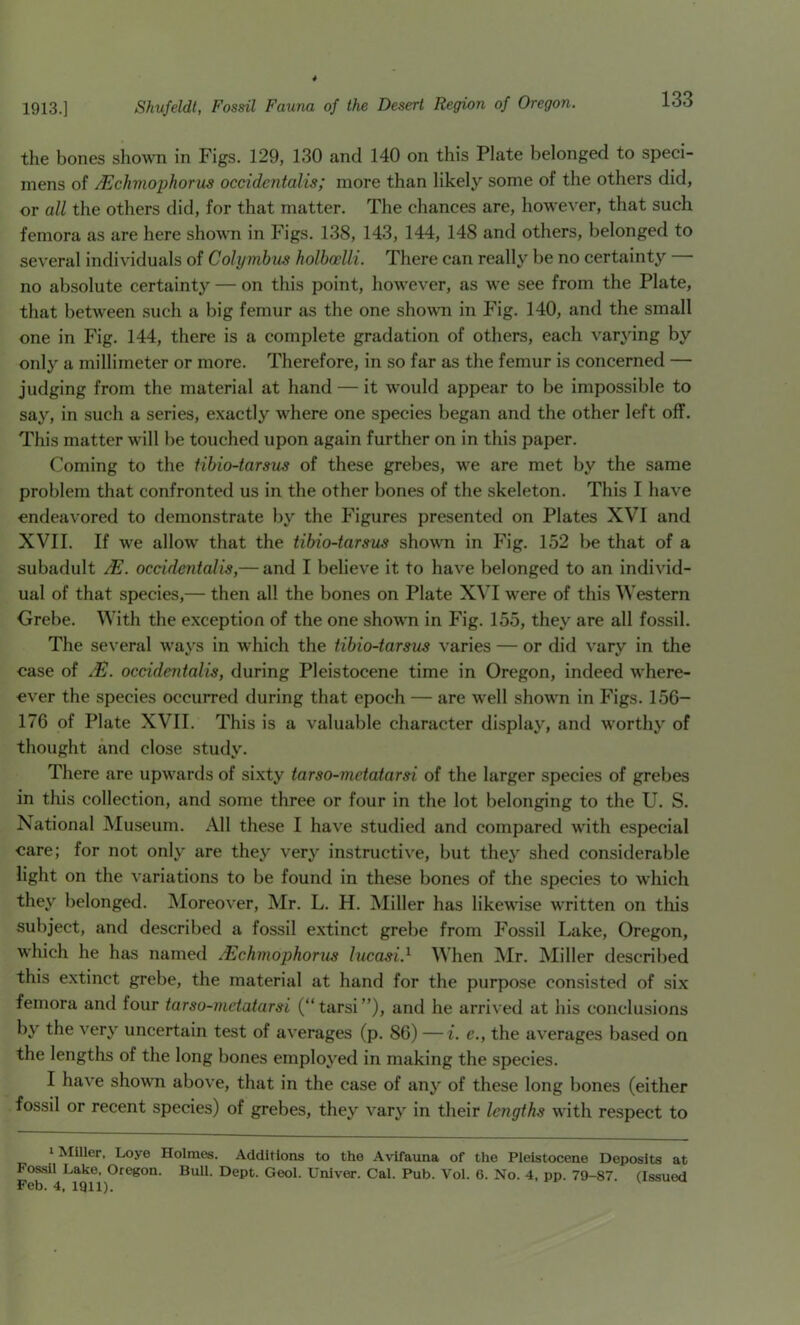 the bones shown in Figs. 129, 130 and 140 on this Plate belonged to speci- mens of Mchmophorus occidentalis; more than likely some of the others did, or all the others did, for that matter. The chances are, however, that such femora as are here shown in Figs. 138, 143, 144, 148 and others, belonged to several individuals of Colymhus holhoelli. There can really be no certainty — no absolute certainty — on this point, however, as we see from the Plate, that between such a big femur as the one showm in Fig. 140, and the small one in Fig. 144, there is a complete gradation of others, each varying by only a millimeter or more. Therefore, in so far as the femur is concerned — judging from the material at hand — it would appear to be impossible to say, in such a series, exactly where one species began and the other left off. This matter will be touched upon again further on in this paper. Coming to the iihio-tarsus of these grebes, we are met by the same problem that confronted us in the other bones of the skeleton. This I have endeavored to demonstrate by the Figures presented on Plates XVI and XVII. If we allow that the tibio-tarsus shown in Fig. 152 be that of a subadult /E. occidentalis,— and I believe it to have belonged to an individ- ual of that species,— then all the bones on Plate XVI were of this Western Grebe, With the exception of the one shown in Fig. 155, they are all fossil. The several ways in which the tibio-tarsus varies — or did vary in the case of occidentalis, during Pleistocene time in Oregon, indeed where- cver the species occurred during that epoch — are well shown in Figs. 156- 176 of Plate XVII. This is a valuable character display, and worthy of thought and close study. There are upwards of si.xty tarso-mctatarsi of the larger species of grebes in this collection, and some three or four in the lot belonging to the U. S. National Museum. All these I have studied and compared with especial care; for not only are they very instructive, but they shed considerable light on the variations to be found in these bones of the species to which they belonged. INIoreover, Mr. L. H. Miller has likewise written on this subject, and described a fossil extinct grebe from Fossil Lake, Oregon, which he has named Mchmophorus lucasi.^ When IVIr. Miller described this extinct grebe, the material at hand for the purpose consisted of six femora and four tarso-mctatarsi (“tarsi”), and he arrived at his conclusions by the very uncertain test of averages (p. 86) —i. e., the averages based on the lengths of the long bones employed in making the species. I have shown above, that in the case of any of these long bones (either fossil or recent species) of grebes, they vary in their lengths with respect to I Miller, Loye Holmes. Additions to the A\dfauna of the Pleistocene Deposits at Fossil Lake, Oregon. Bull. Dept. Geol. Univer. Cal. Pub. Vol. 6. No. 4, pp. 79-87 (Issued Feb. 4. 1911). ^