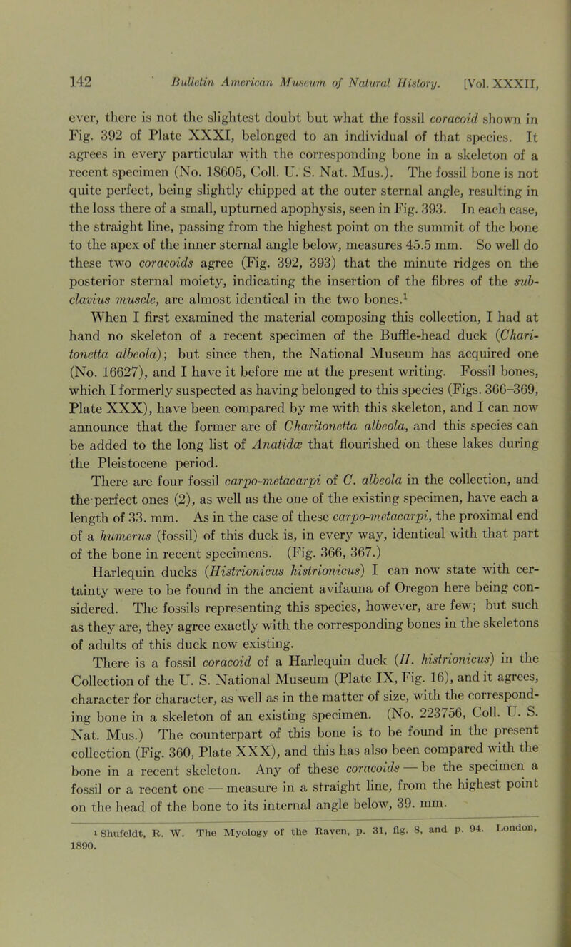 ever, there is not the slightest doubt but what the fossil coracoid shown in Fig. 392 of Plate XXXI, belonged to an individual of that speeies. It agrees in every particular with the corresponding bone in a skeleton of a recent specimen (No. 18G05, Coll. U. S. Nat. Mus.). The fossil bone is not quite perfect, being slightly chipped at the outer sternal angle, resulting in the loss there of a small, upturned apophysis, seen in Fig. 393. In each case, the straight line, passing from the highest point on the summit of the bone to the apex of the inner sternal angle below, measures 45.5 mm. So well do these two coracoids agree (Fig. 392, 393) that the minute ridges on the posterior sternal moiety, indicating the insertion of the fibres of the suh~ clavius muscle, are almost identical in the two bones.^ When I first examined the material composing this collection, I had at hand no skeleton of a recent specimen of the Buffle-head duck {Chari- tonetta albeola); but since then, the National Museum has acquired one (No. 16627), and I have it before me at the present Avriting. Fossil bones, which I formerly suspected as having belonged to this species (Figs. 366-369, Plate XXX), have been compared by me with this skeleton, and I can now announce that the former are of Charitonetta albeola, and this species can be added to the long list of Anatidoe that flourished on these lakes during the Pleistocene period. There are four fossil carpo-metacarpi of C. albeola in the eollection, and the perfect ones (2), as well as the one of the existing specimen, have each a length of 33. mm. As in the case of these carpo-metacarpi, the proximal end of a humerus (fossil) of this duck is, in every way, identical with that part of the bone in recent specimens. (Fig. 366, 367.) Harlequin ducks {Histrionicus histrionicus) I can now state with cer- tainty were to be found in the ancient avifauna of Oregon here being con- sidered. The fossils representing this species, however, are few; but such as they are, they agree exactly with the corresponding bones in the skeletons of adults of this duck now existing. There is a fossil coracoid of a Harlequin duck {H. histrionicus') in the Collection of the U. S. National Museum (Plate IX, Fig. 16), and it agrees, character for character, as well as in the matter of size, with the coriespond- ing bone in a skeleton of an existing specimen. (No. 223756, Coll. U. S. Nat. Mus.) The counterpart of this bone is to be found in the present collection (Fig. 360, Plate XXX), and this has also been compared \\ith the bone in a recent skeleton. Any of these coracoids be the specimen a fossil or a recent one — measure in a straight line, from the highest point on the head of the bone to its internal angle below, 39. mm. I Shufeldt, R. W. The Myology of the Raven, p. 31, flg. 8, and p. 94. London, 1890.